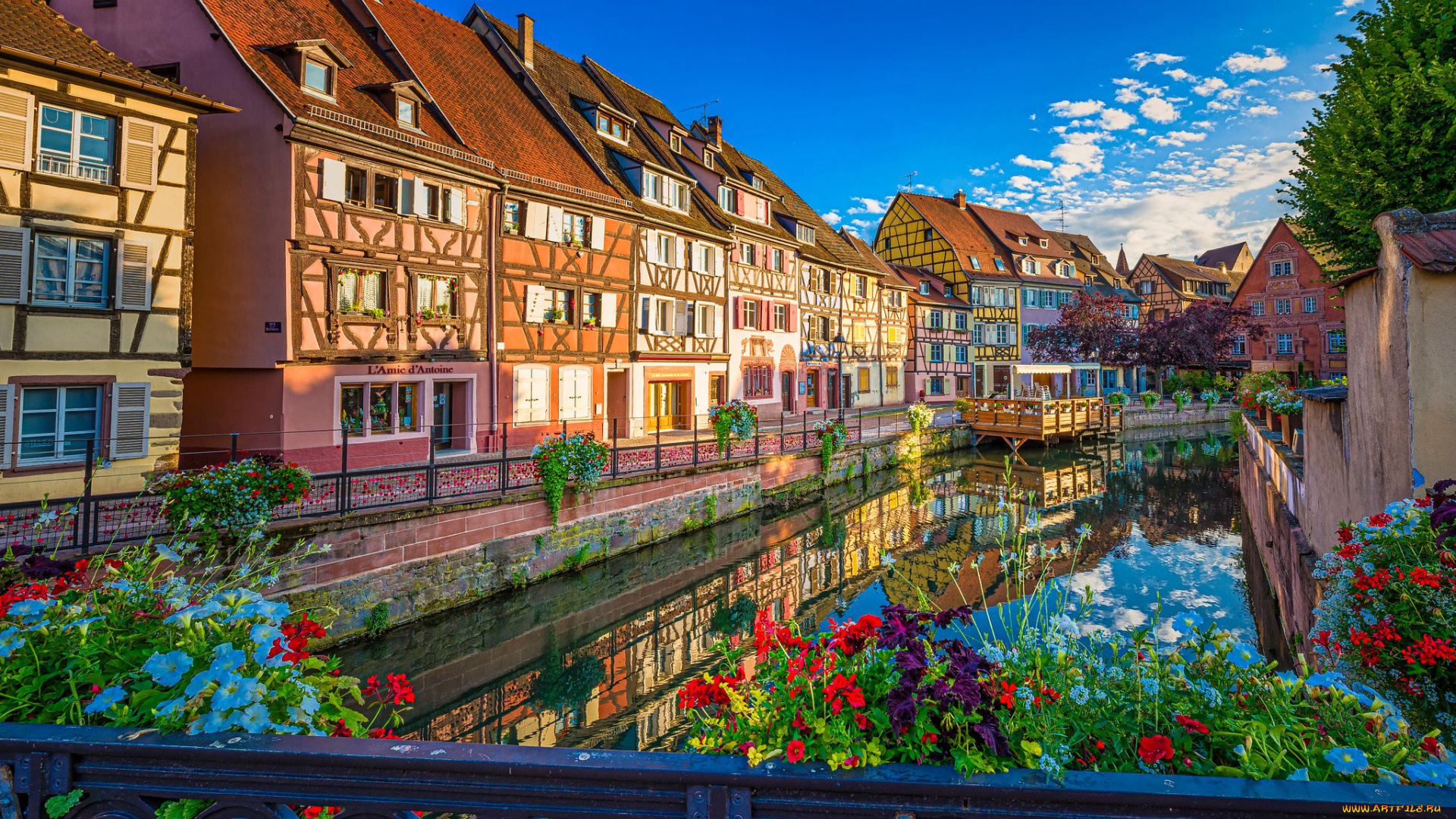 города, кольмар, , франция, канал, дома, цветы