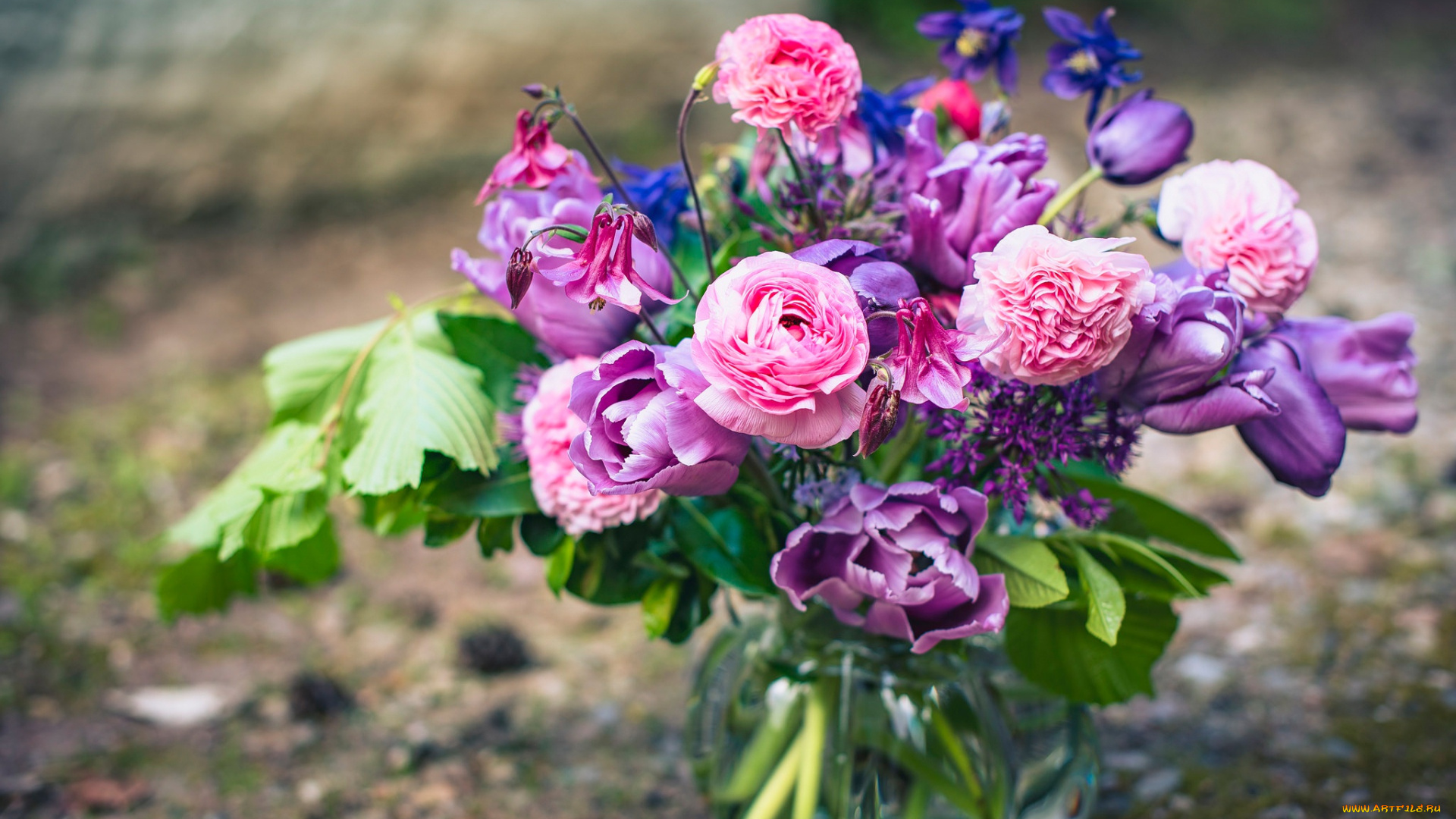 цветы, букеты, , композиции, букет