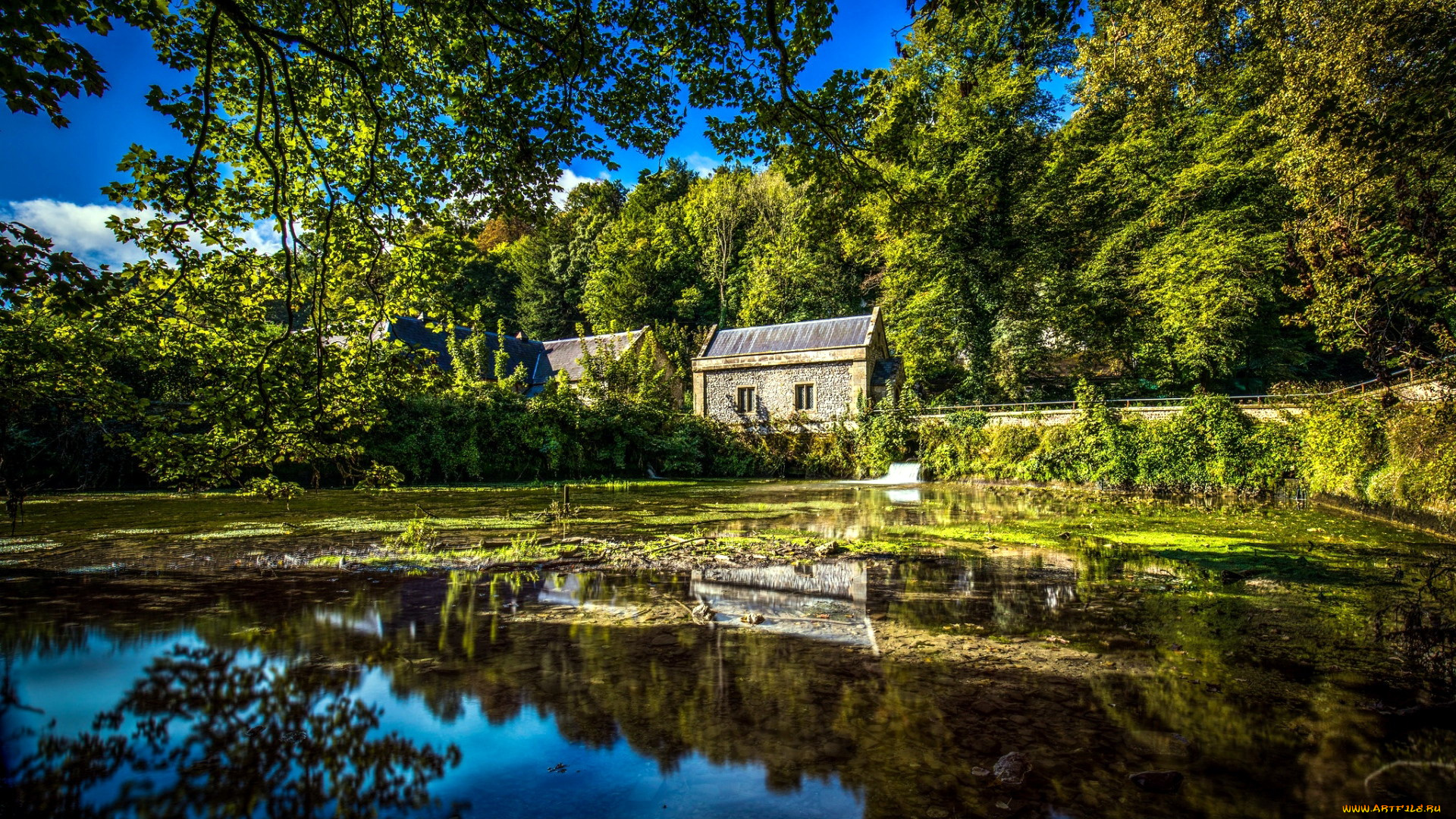 mill, pond, west, sussex, england, города, -, здания, , дома, mill, pond, west, sussex