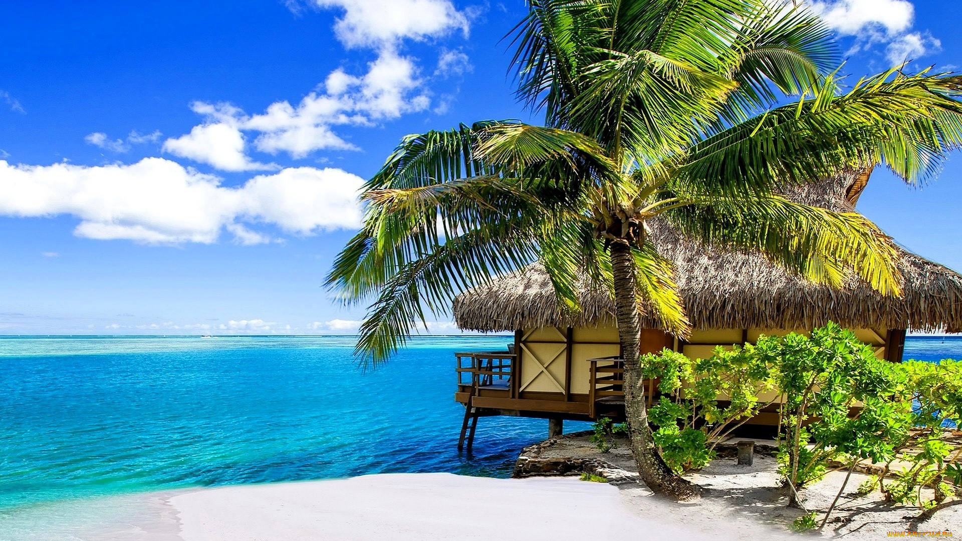 природа, тропики, небо, облака, море, пальма, пляж, песок, дом, хижина