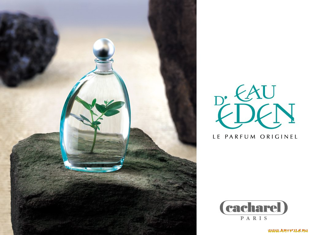 cachareleaueden, бренды, cacharel