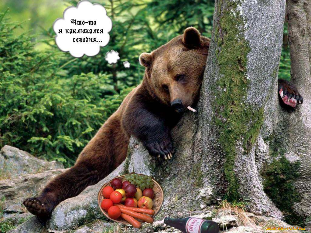 Чего, то, наклюкался, сегодня, юмор, приколы