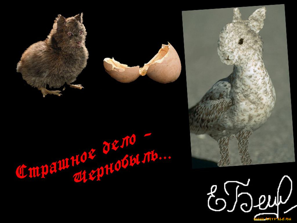 страшное, дело, Чернобыль, юмор, приколы