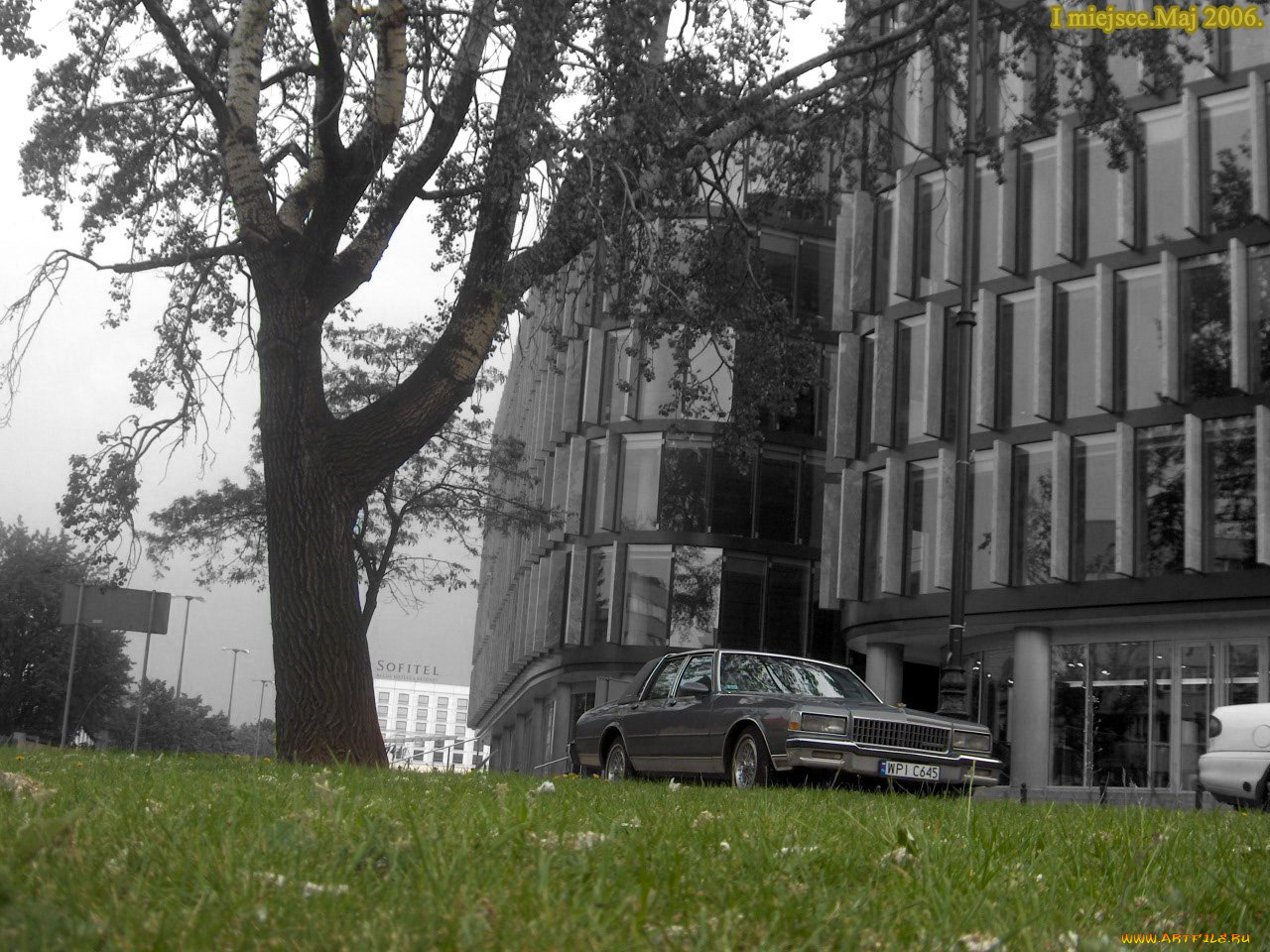 автомобили, выставки, уличные, фото