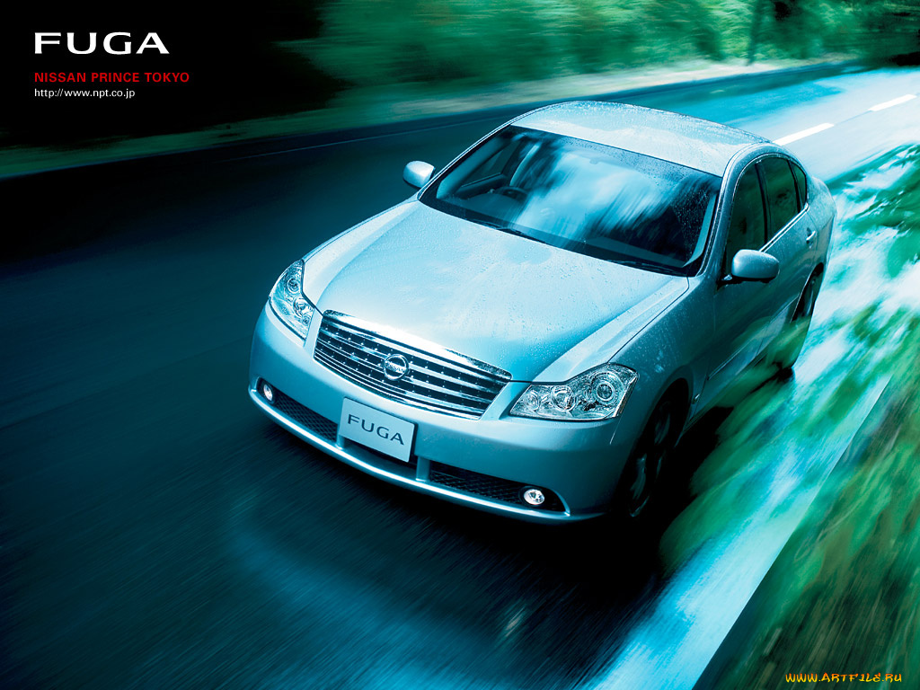 nissan, fuga, автомобили, datsun