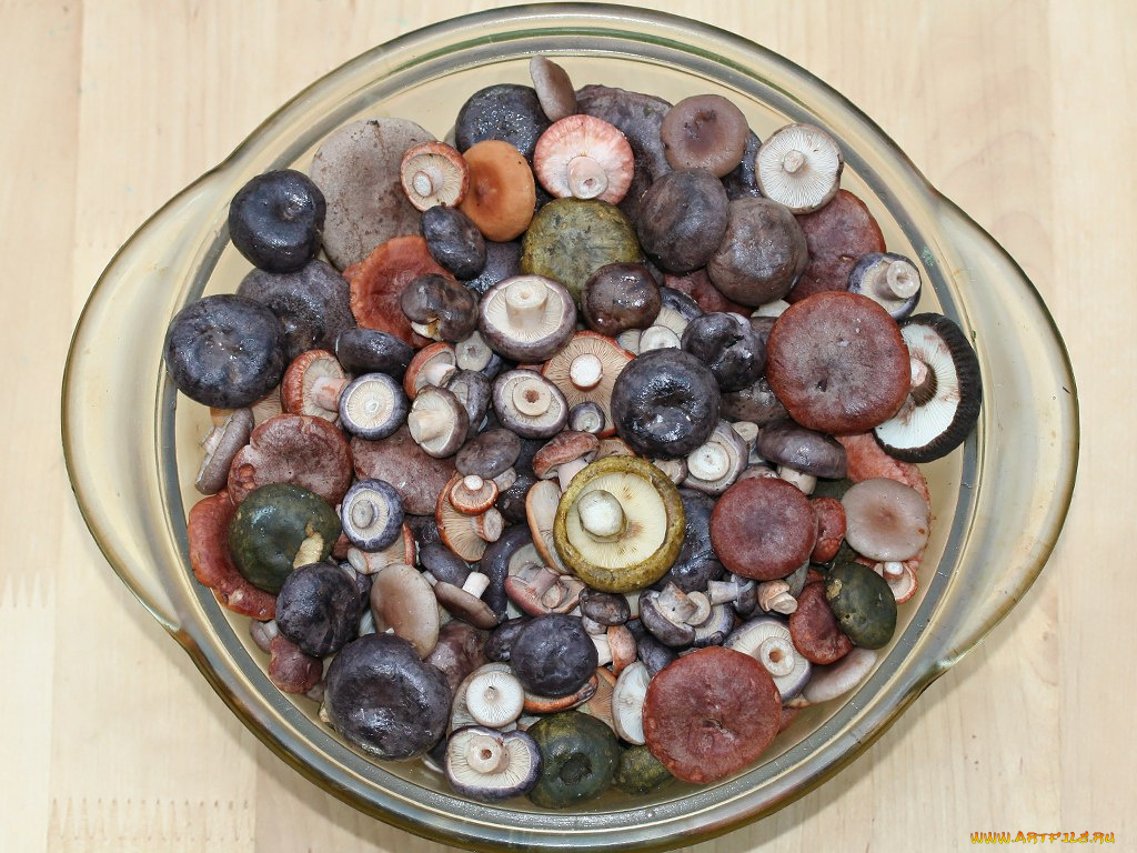 еда, грибы, грибные, блюда