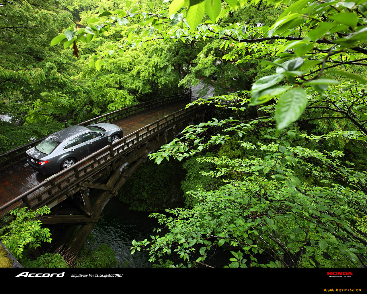 автомобили, honda
