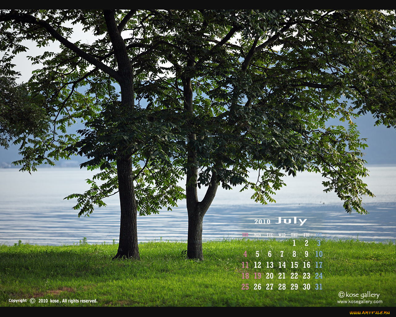 календари, природа