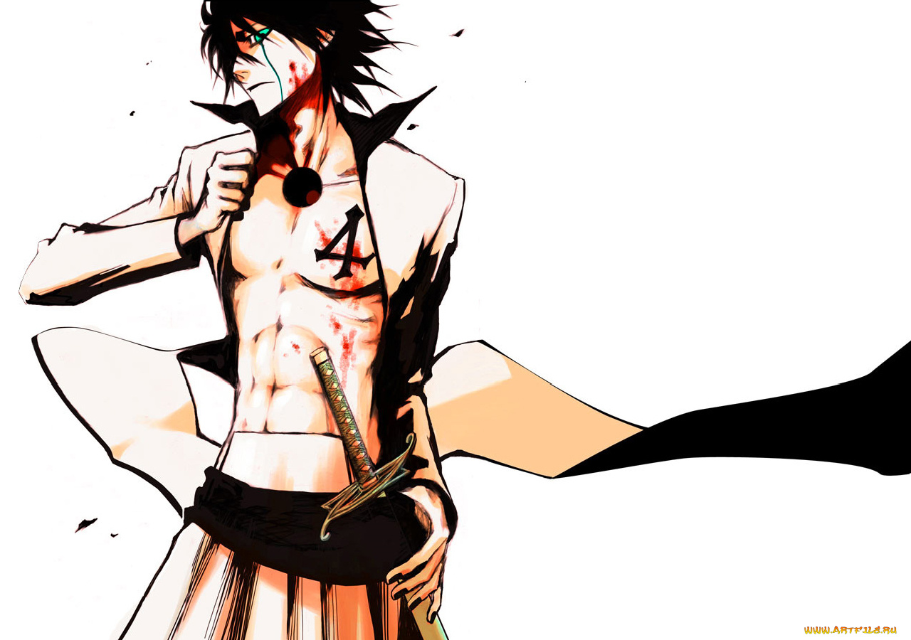 аниме, bleach