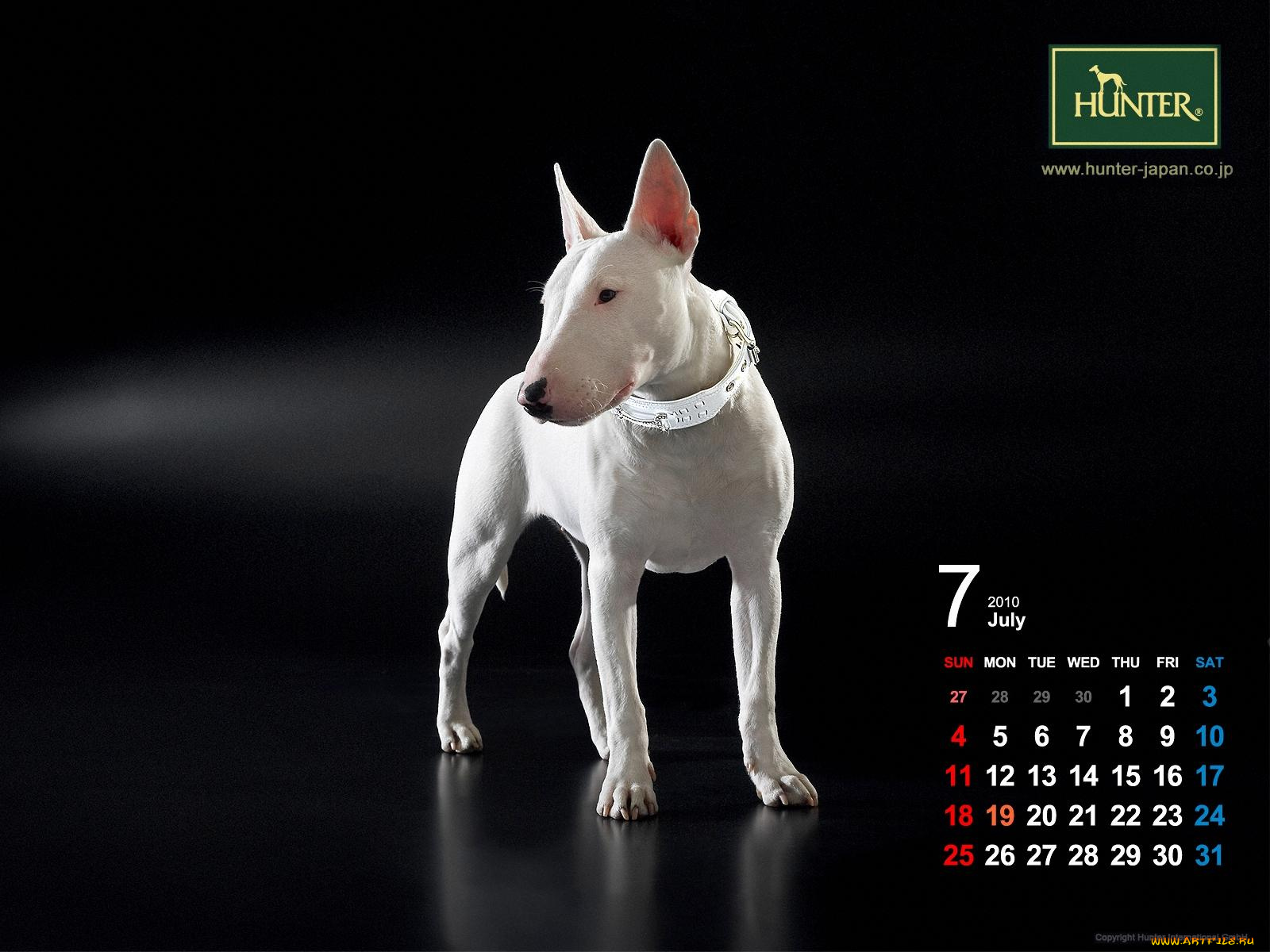 бренды, hunter