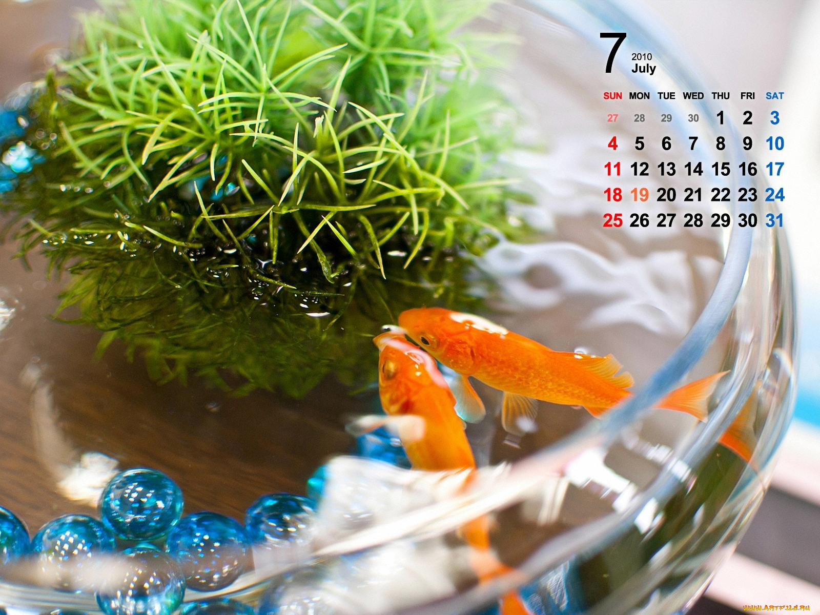 календари, животные