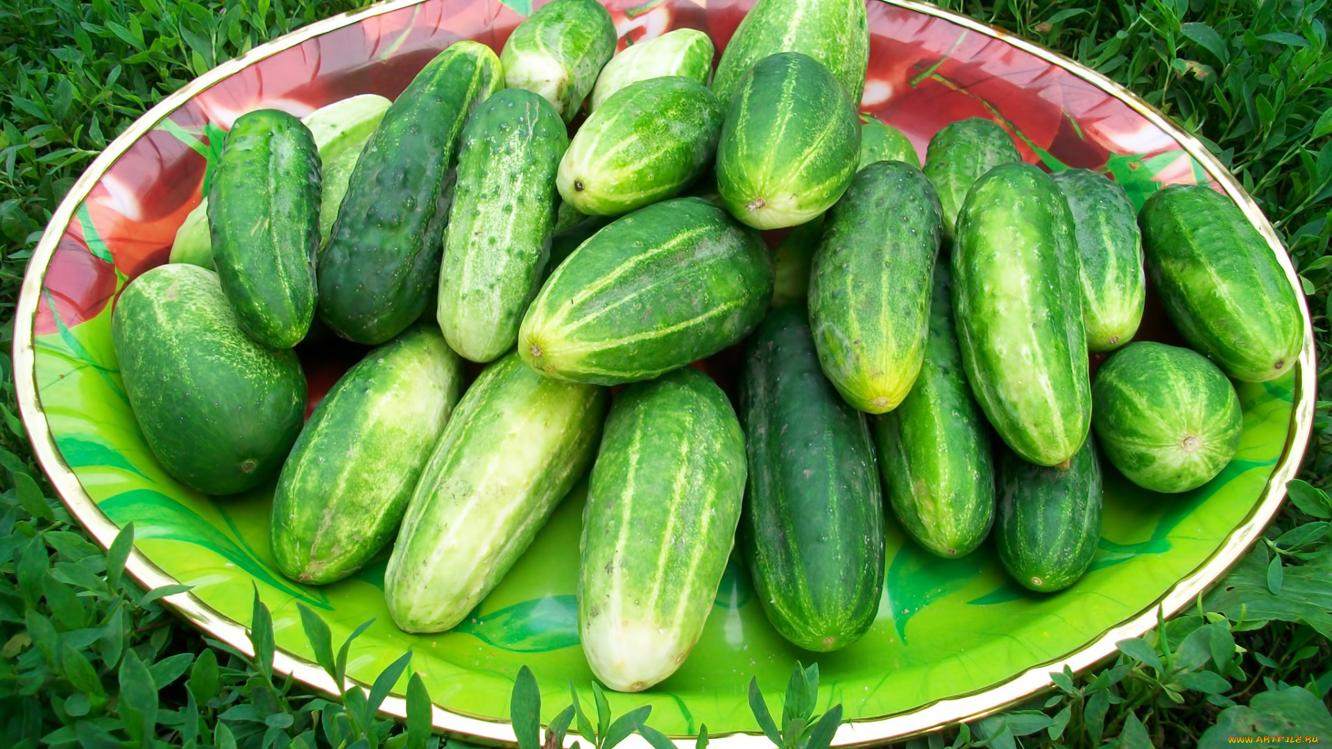 еда, огурцы