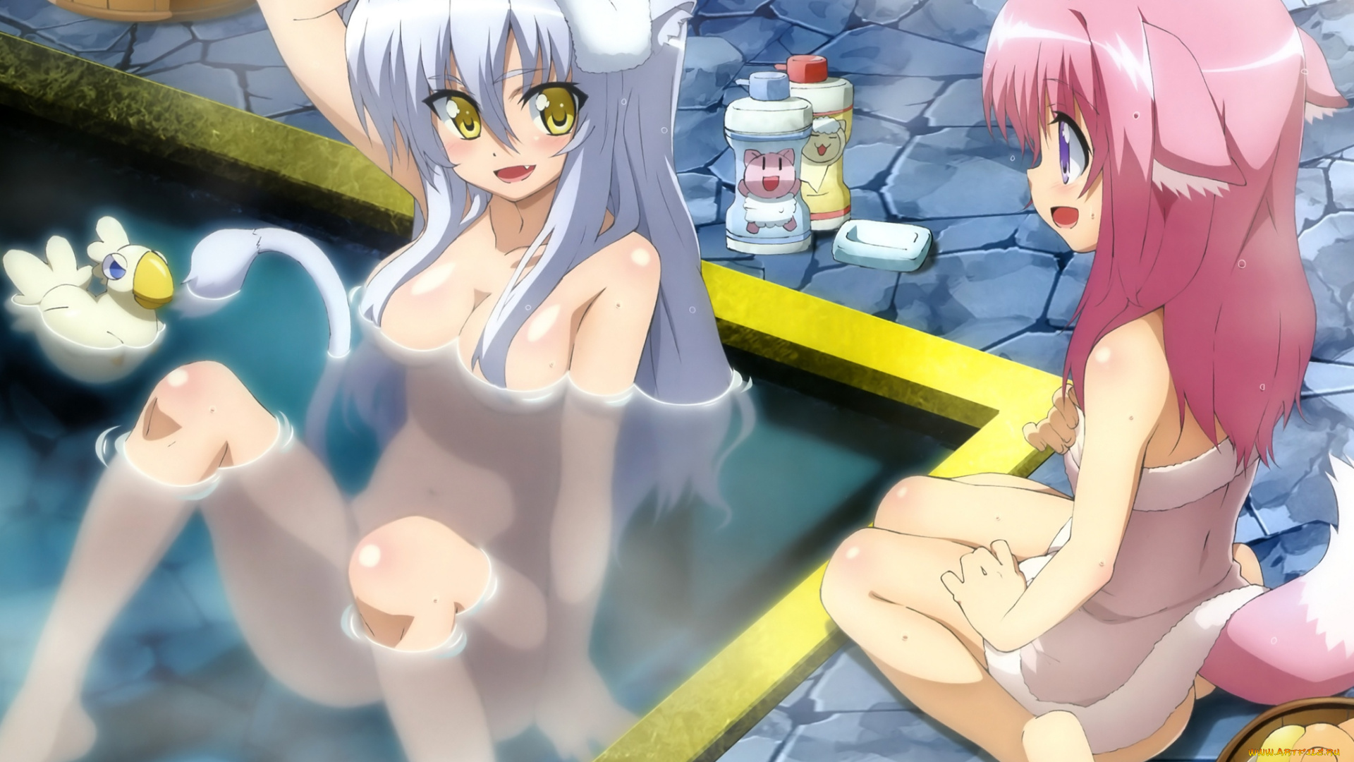 dog, days, аниме, девушки, басейн