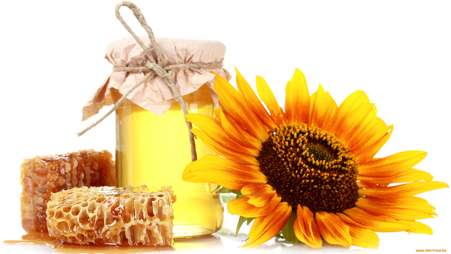 еда, мёд, варенье, повидло, джем, подсолнух