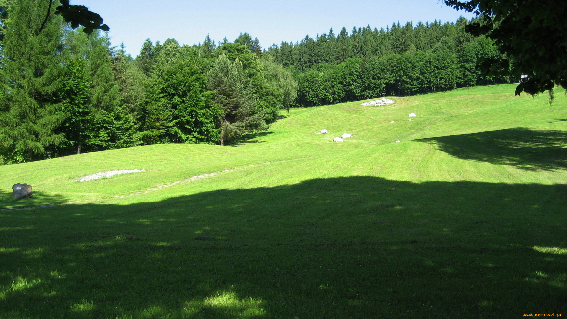 природа, луга, дуг, камни, тени, деревья