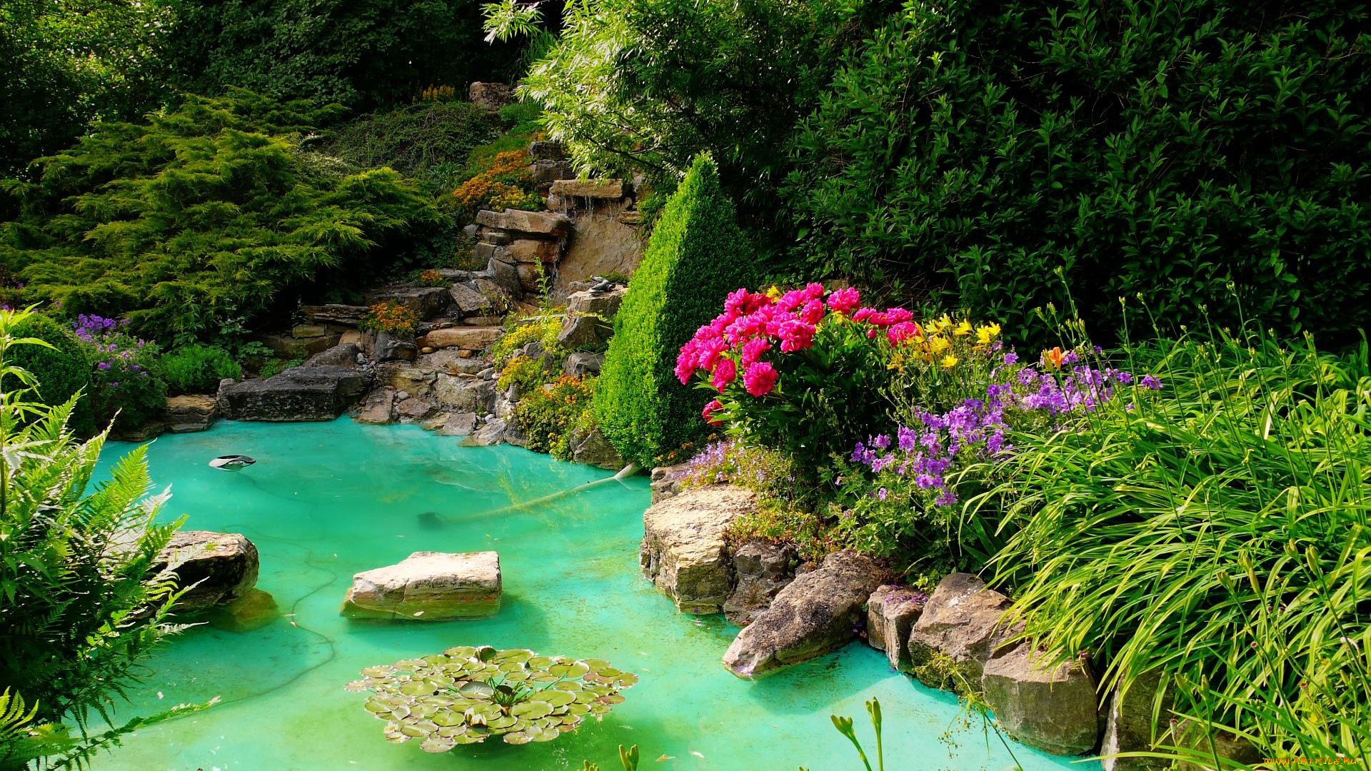 природа, парк, водоем, камни, цветы