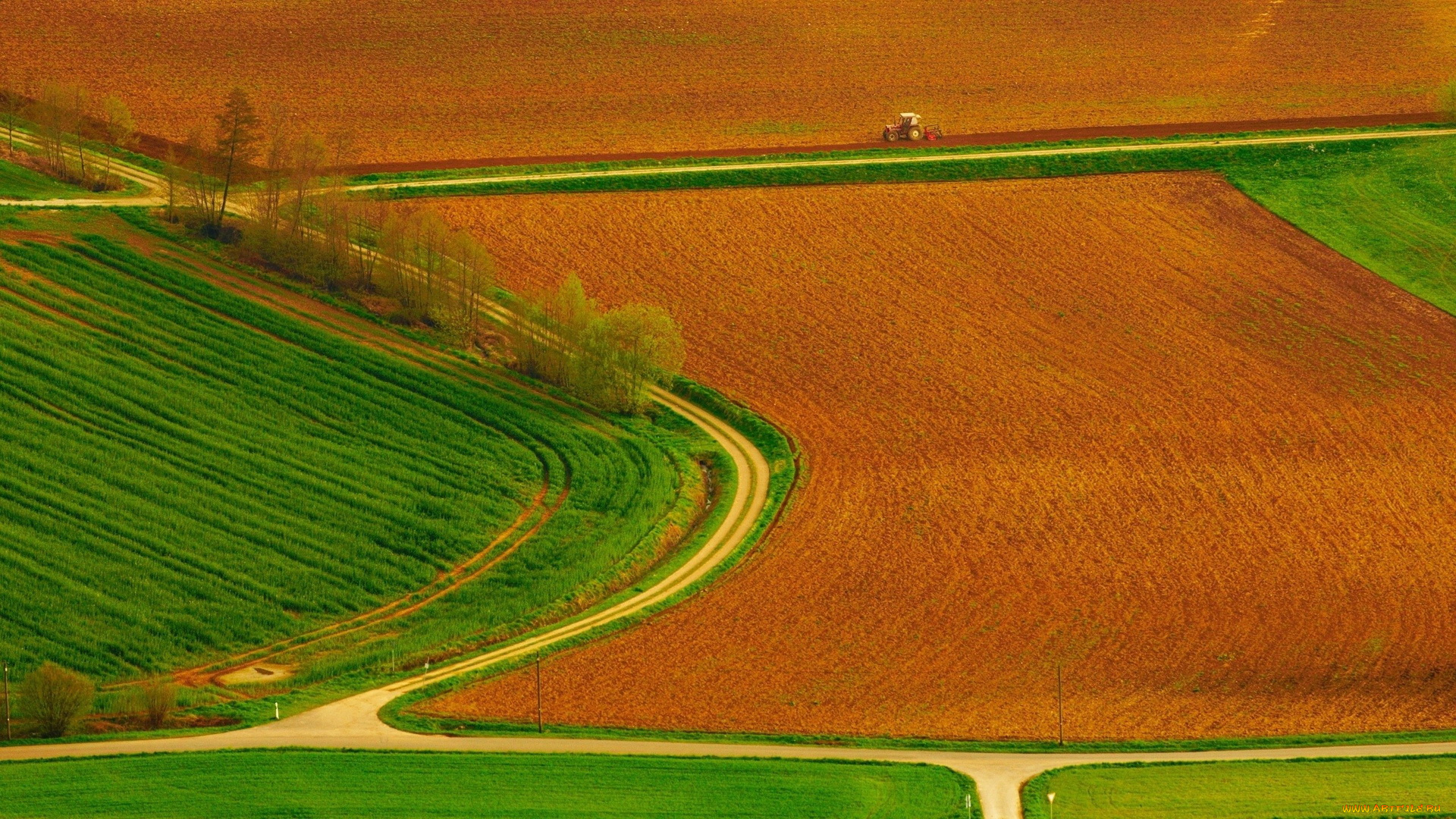 природа, поля