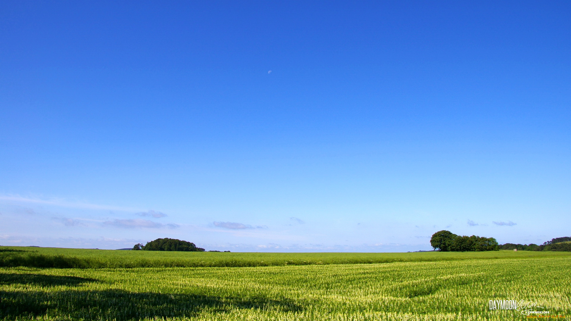 природа, поля, небо