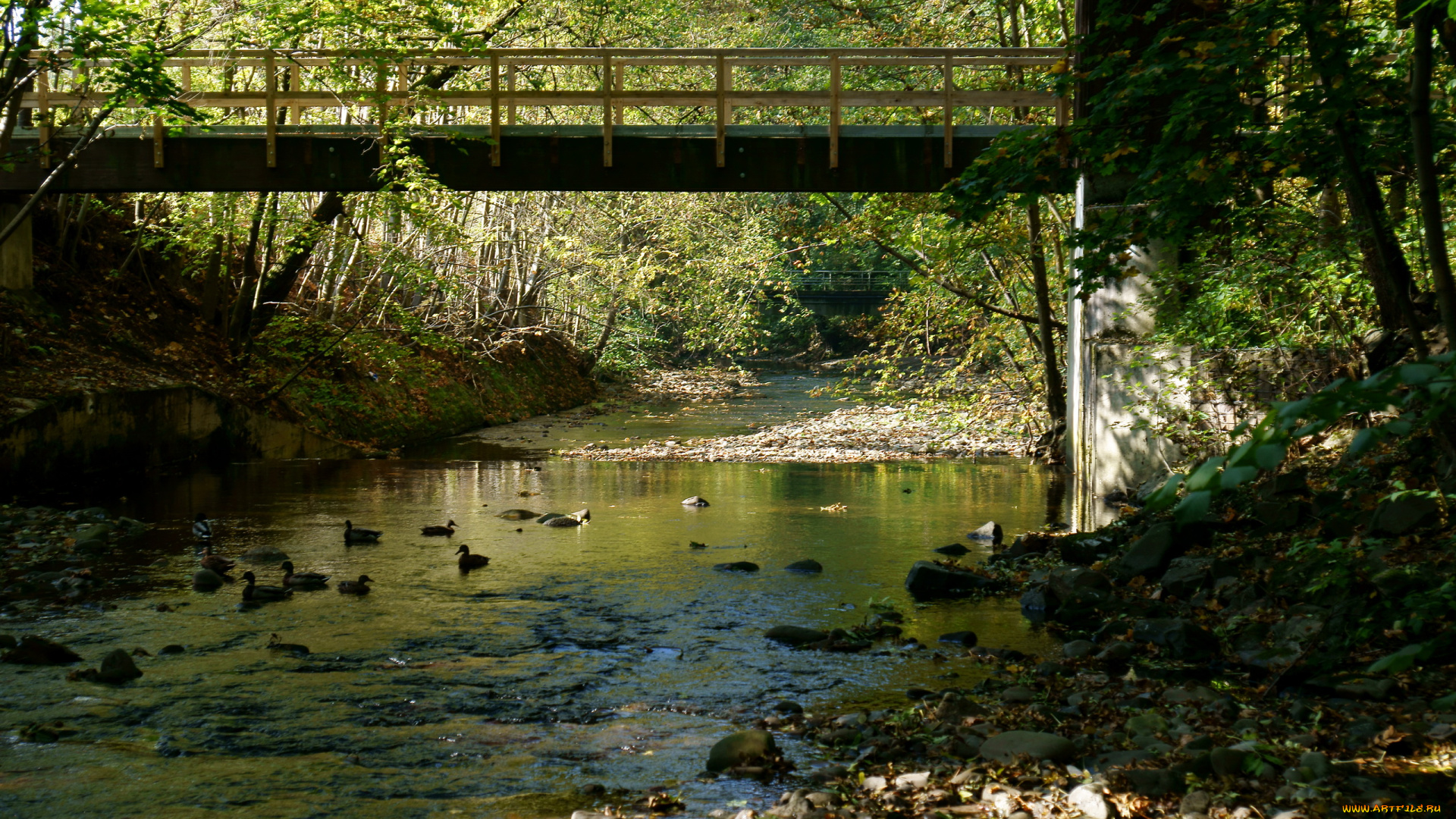 природа, реки, озера, мост, река