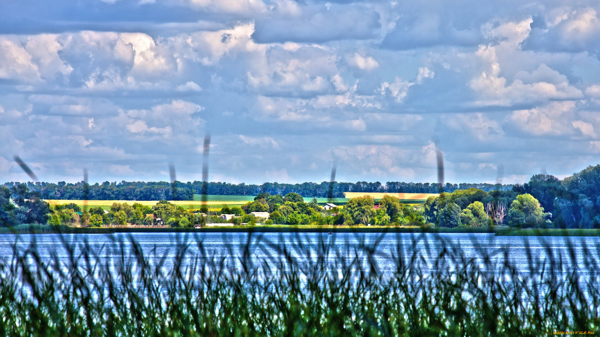 природа, реки, озера, river