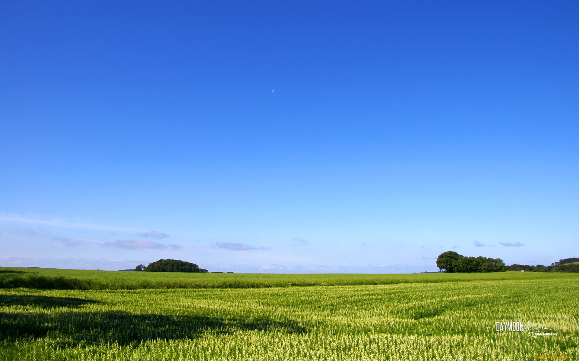 природа, поля, небо