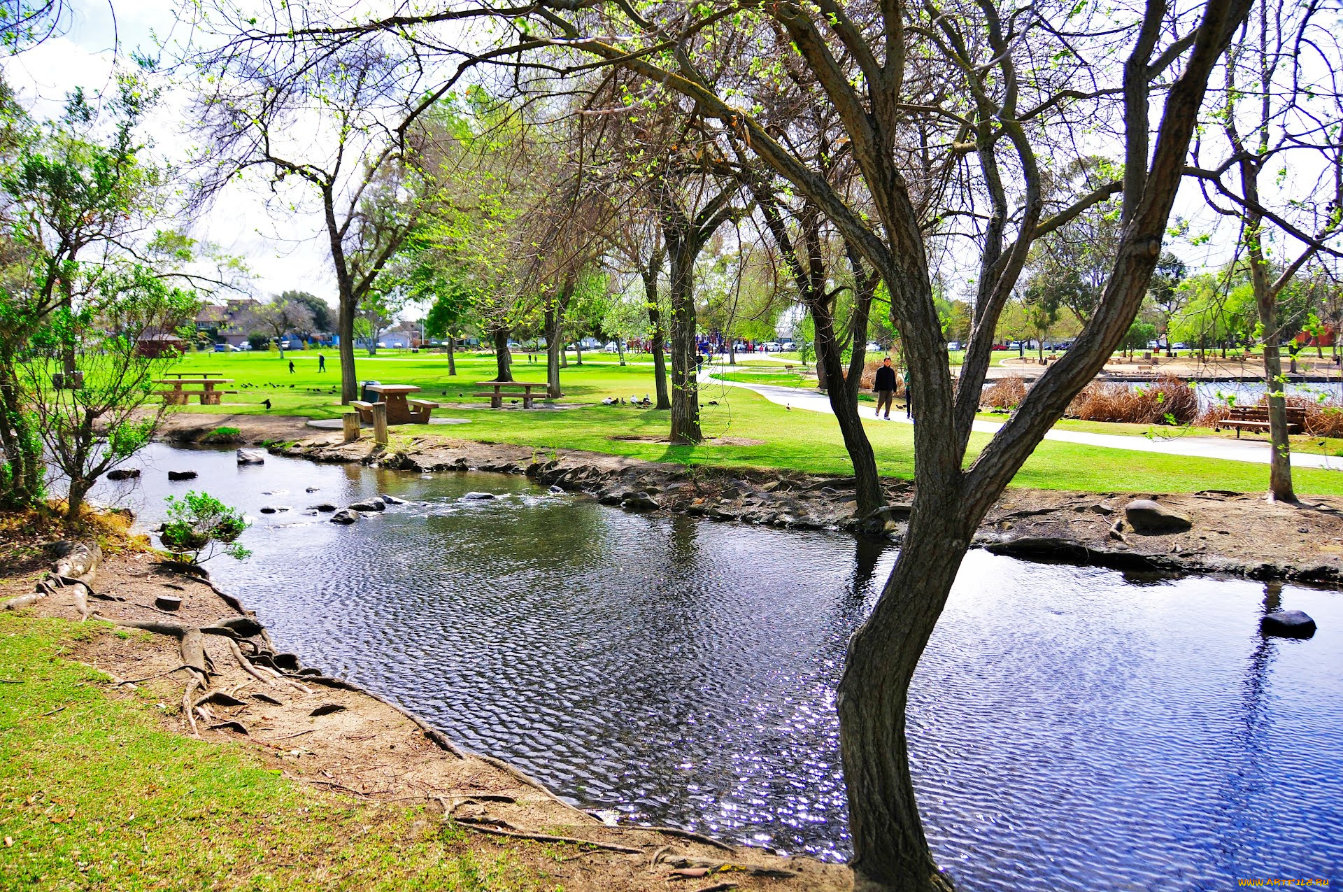 природа, парк, калифорния