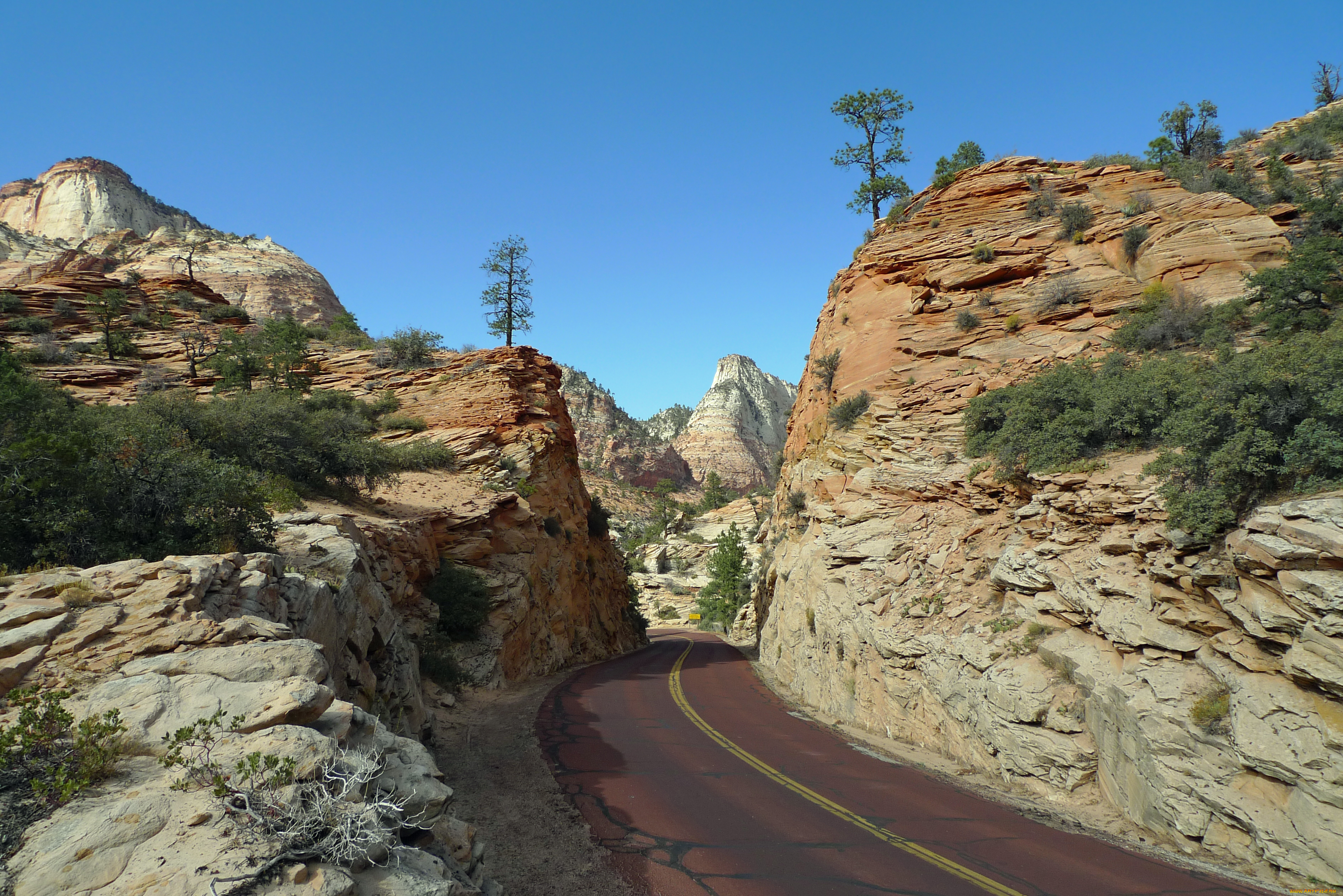 zion, national, park, природа, горы, дорога