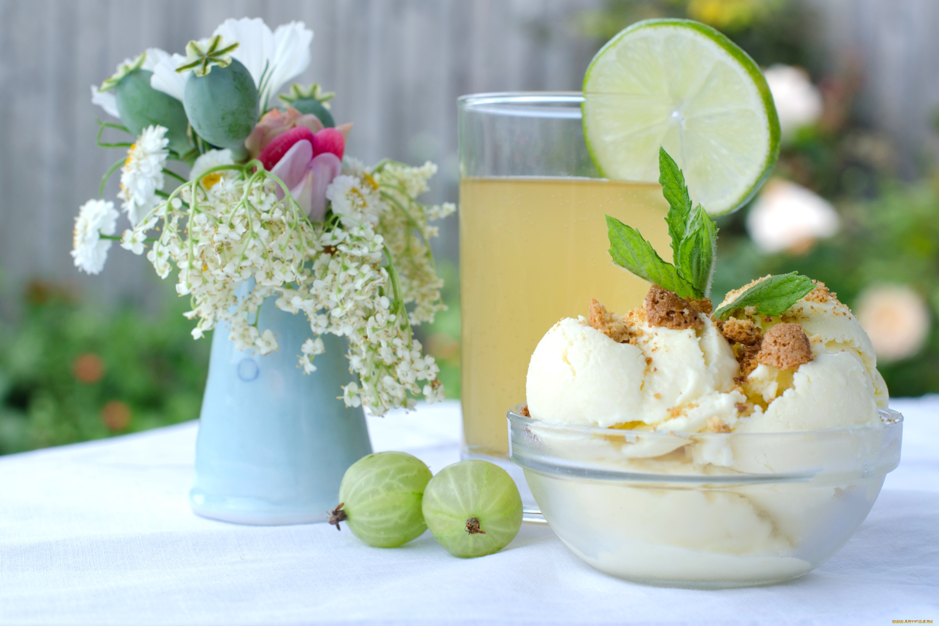 еда, натюрморт, букет, крыжовник, мороженое, сок