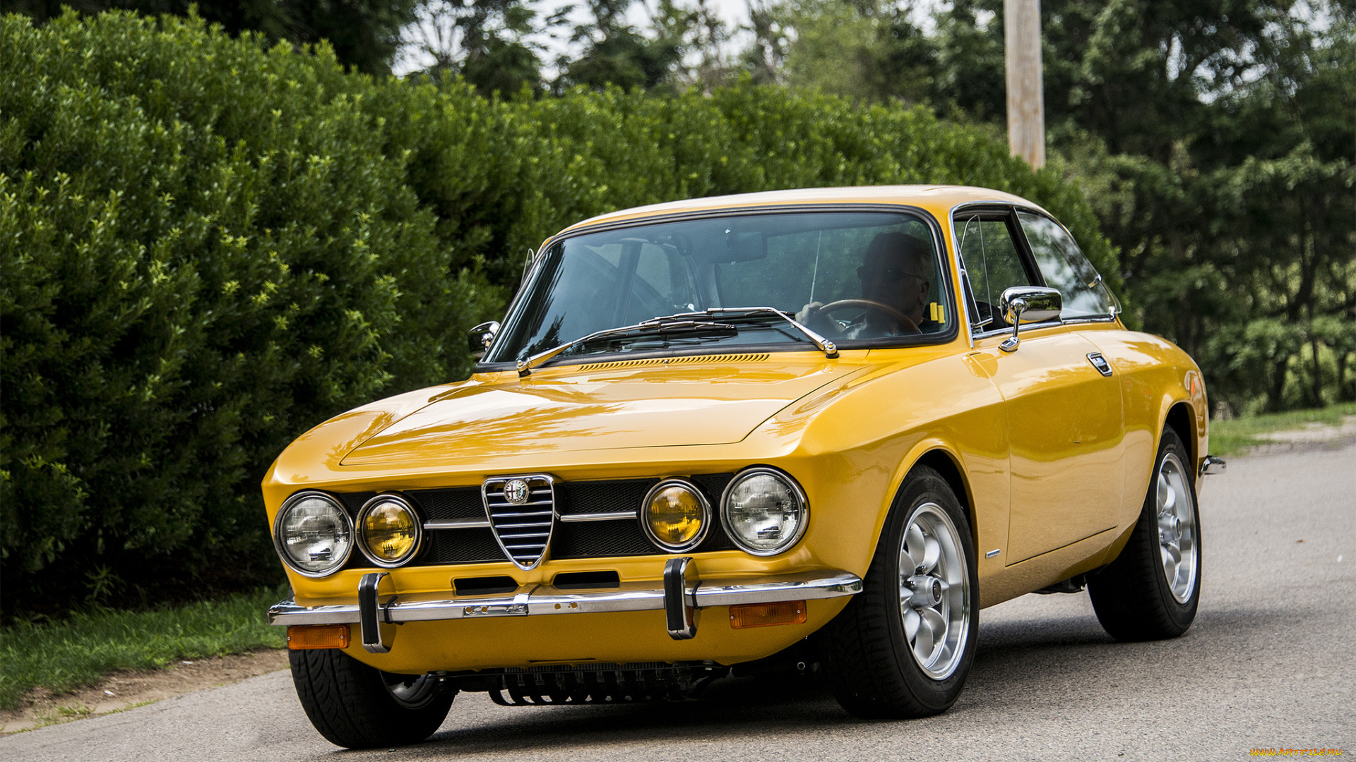 alfa, romeo, giulia, автомобили, alfa, romeo, автопробег, выставка, автошоу