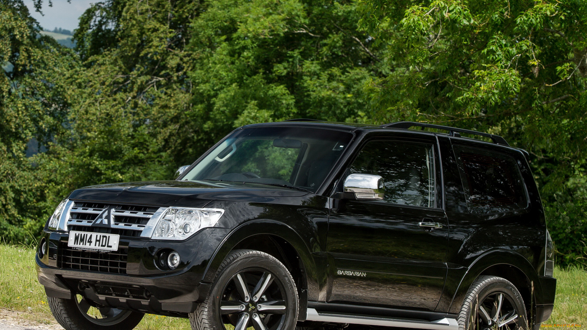 автомобили, mitsubishi, темный, 2014г, barbarian, shogun, swb