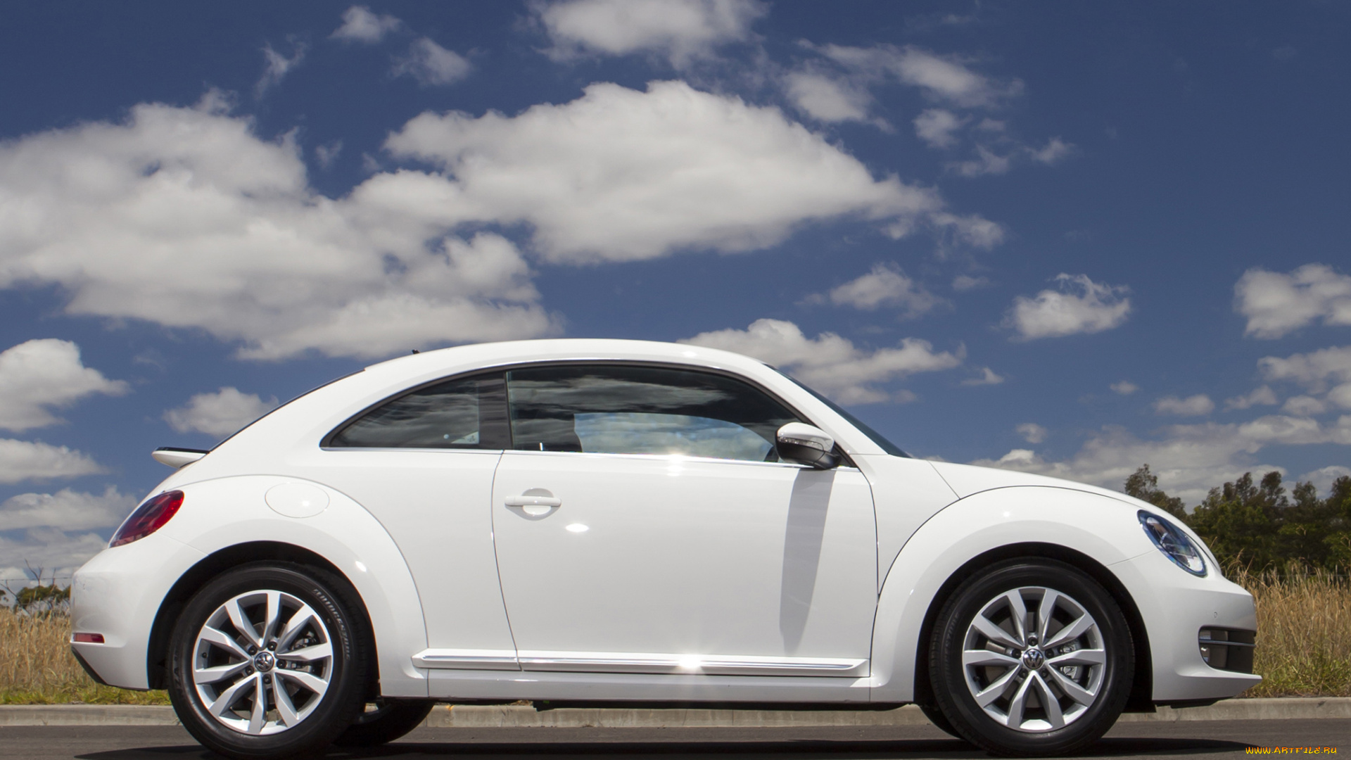 автомобили, volkswagen, светлый, au-spec, beetle
