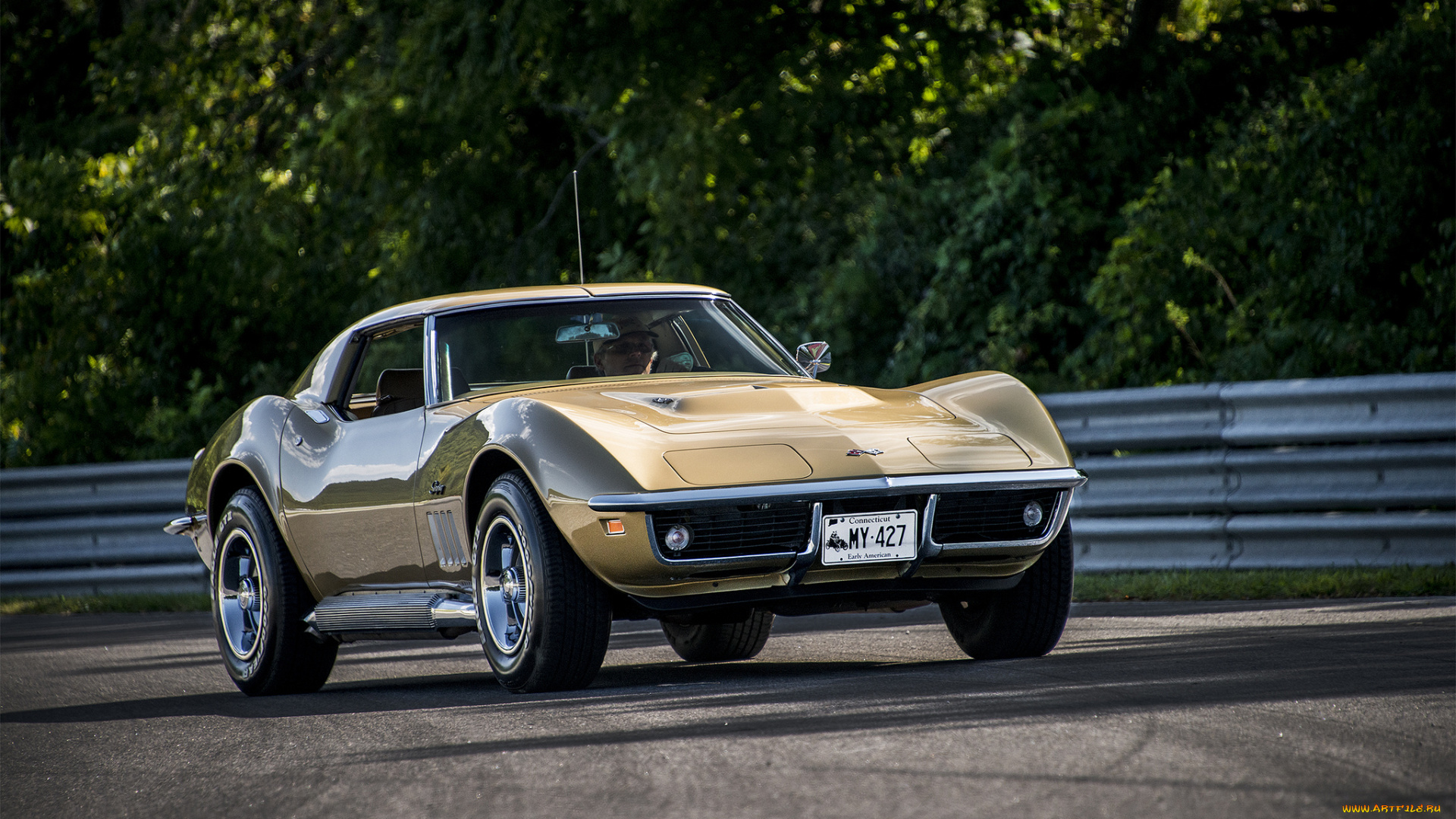 chevrolet, corvette, stingray, автомобили, corvette, автошоу, выставка, автопробег