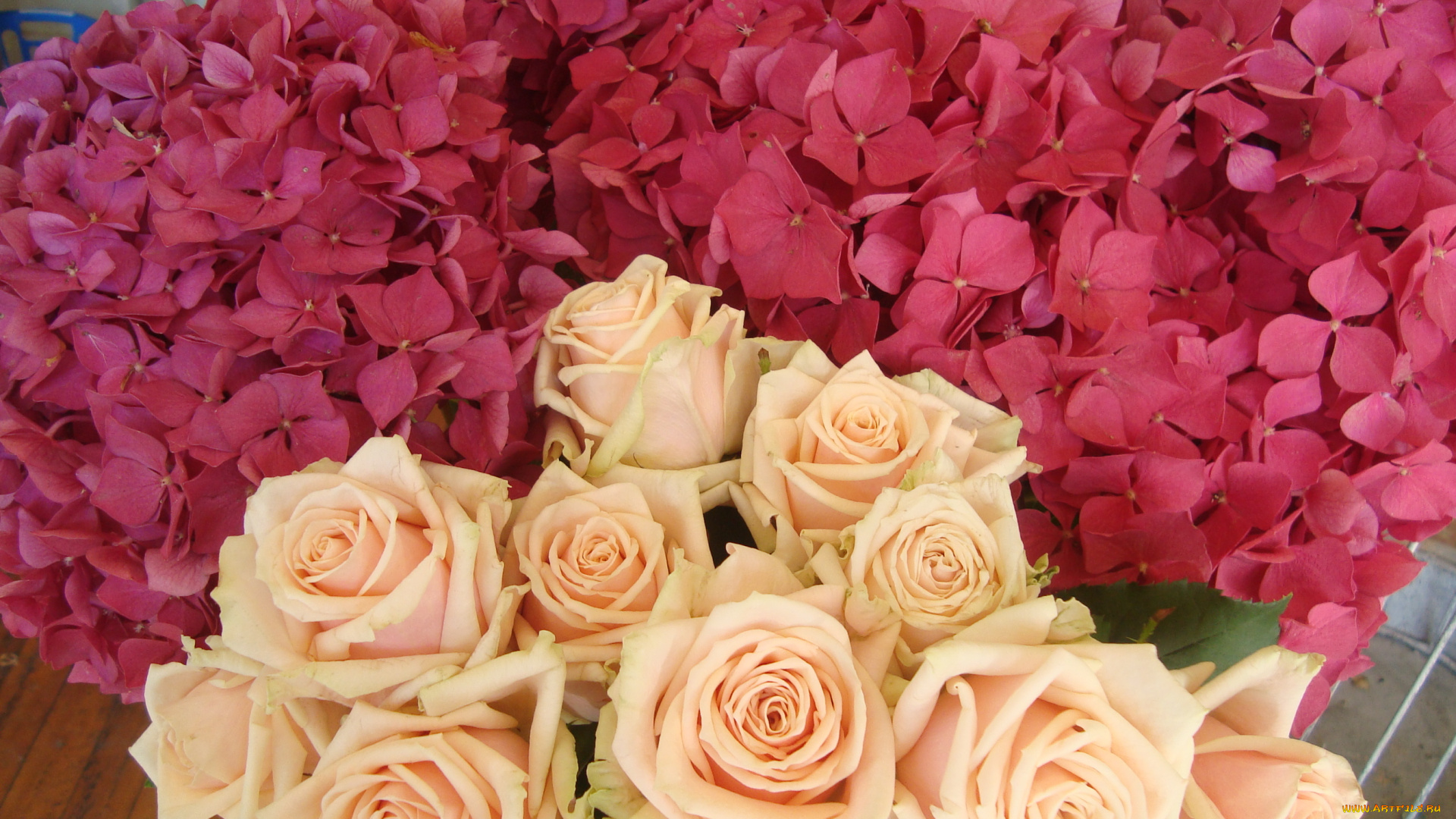 цветы, букеты, , композиции, бутоны