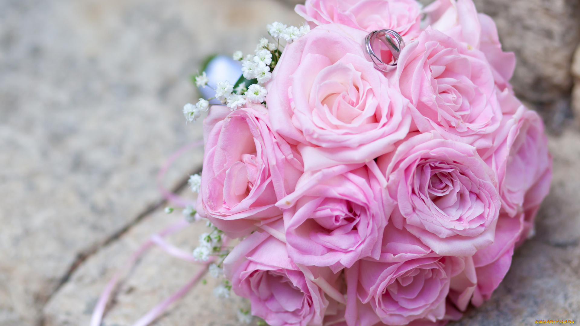 цветы, букеты, , композиции, розовые, розы, букет