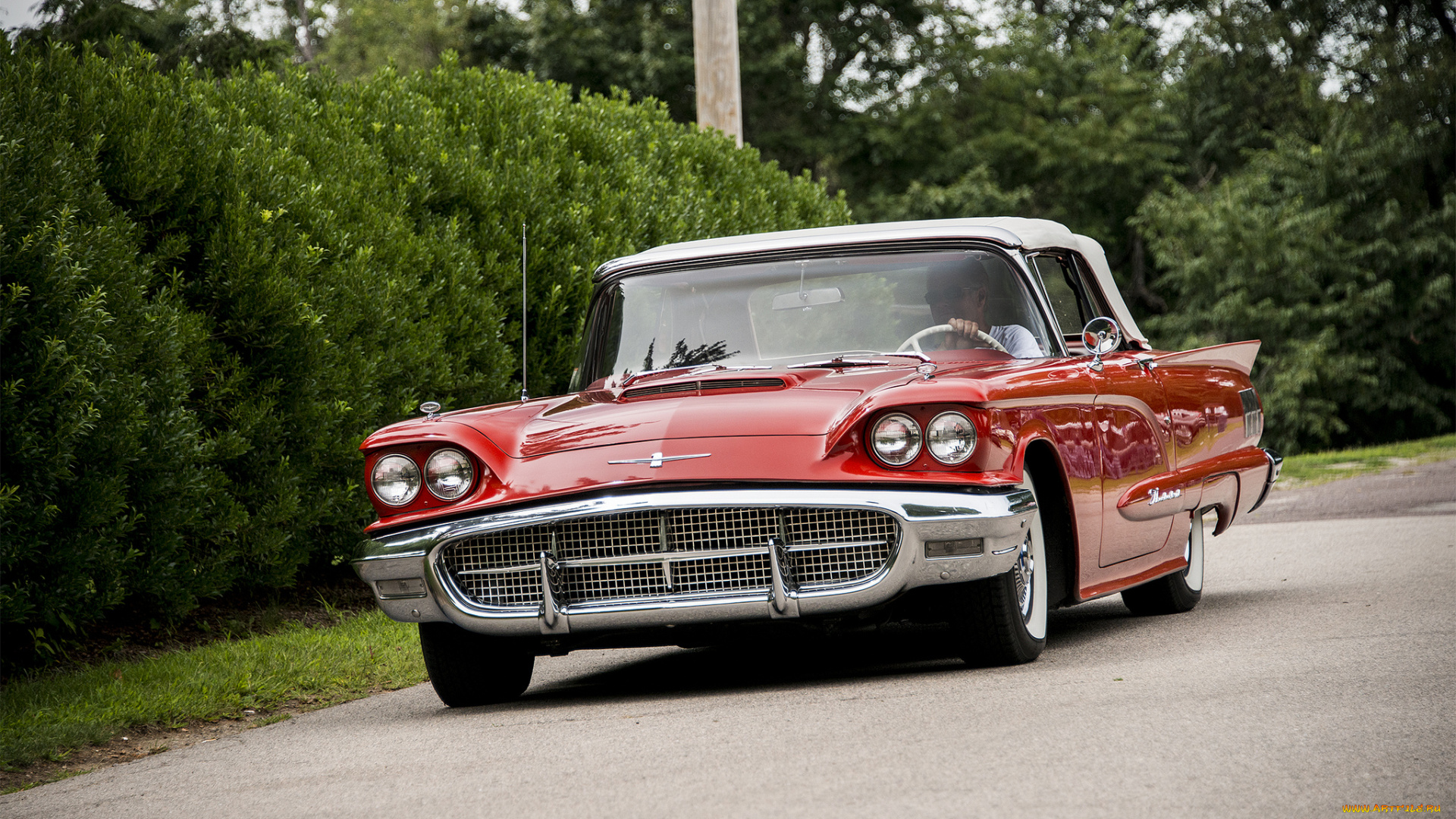 ford, thunderbird, автомобили, ford, выставка, автошоу, автопробег