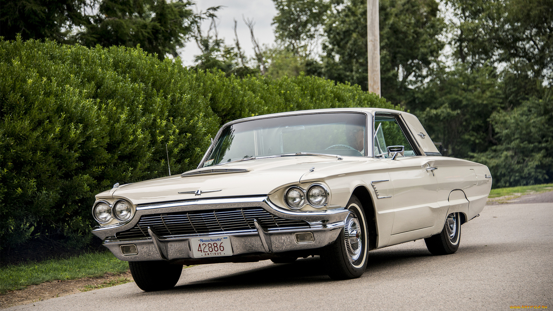 ford, thunderbird, автомобили, ford, выставка, автопробег, автошоу