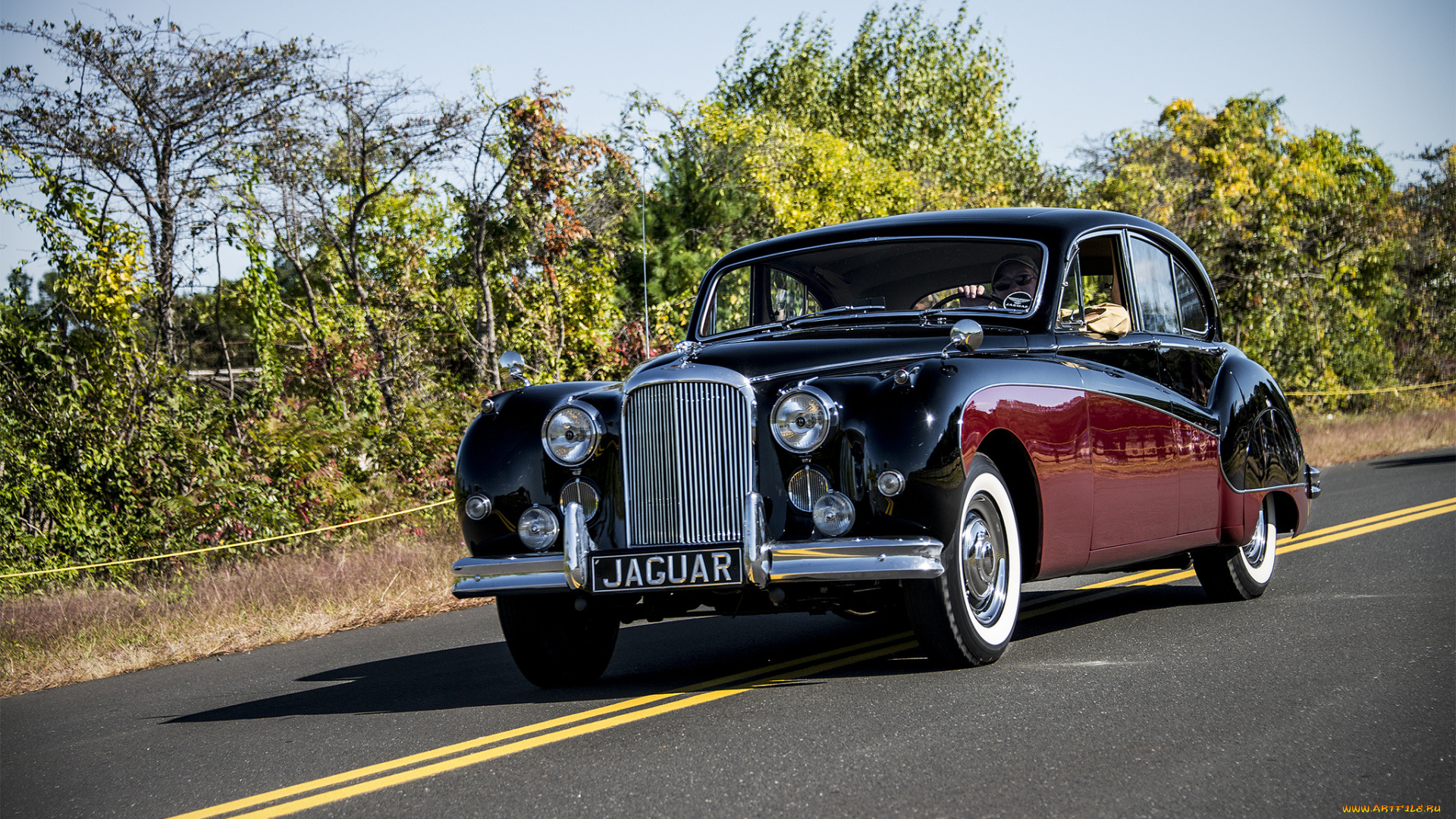 jaguar, автомобили, автопробег, выставка, автошоу