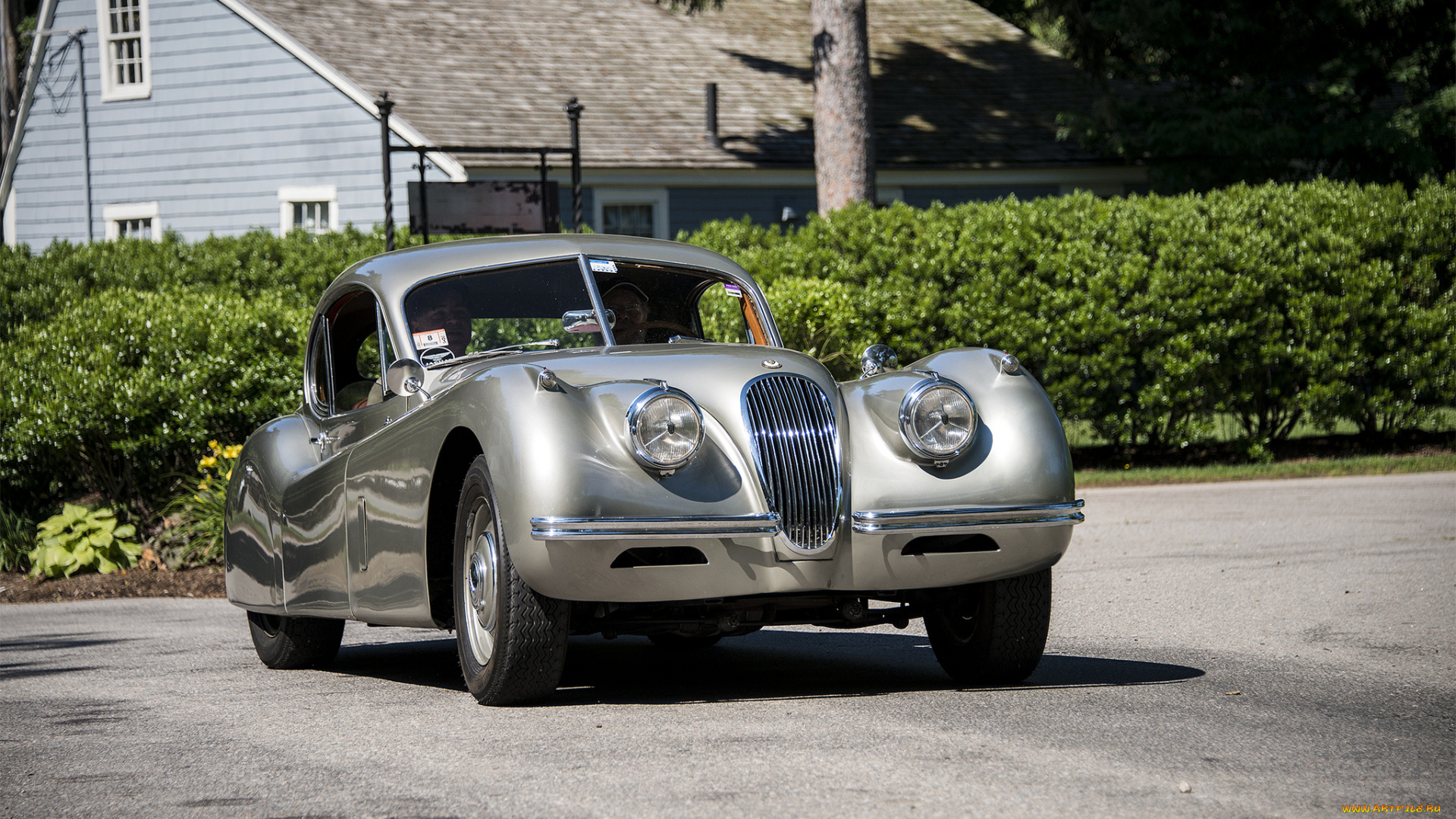 jaguar, автомобили, автошоу, автопробег, выставка