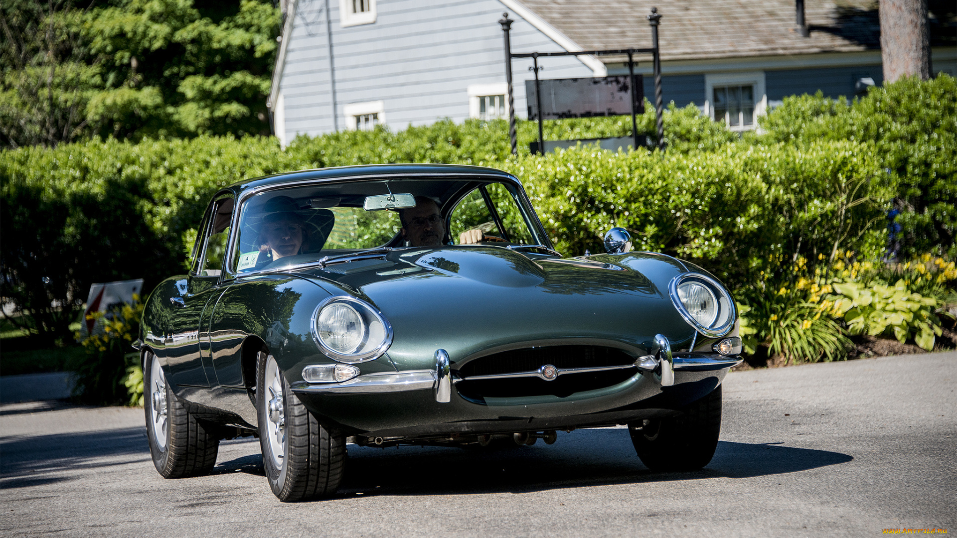 jaguar, xke, автомобили, jaguar, автопробег, выставка, автошоу