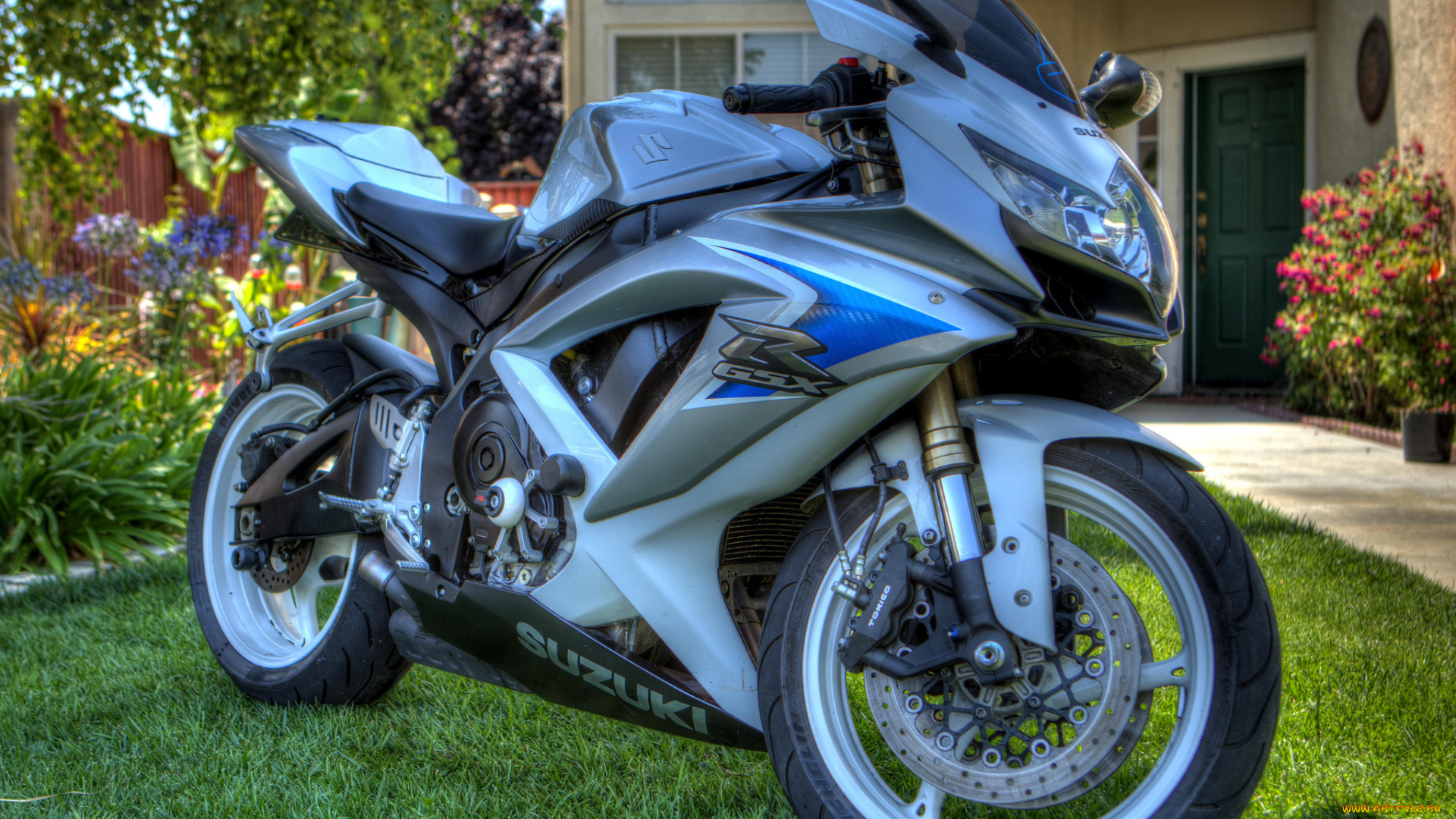 мотоциклы, suzuki, лужайка, байк