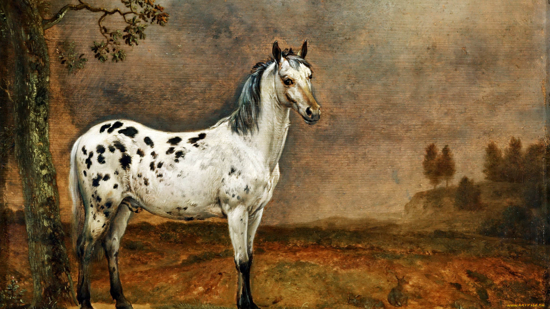 рисованные, животные, , лошади, пятнистый, конь