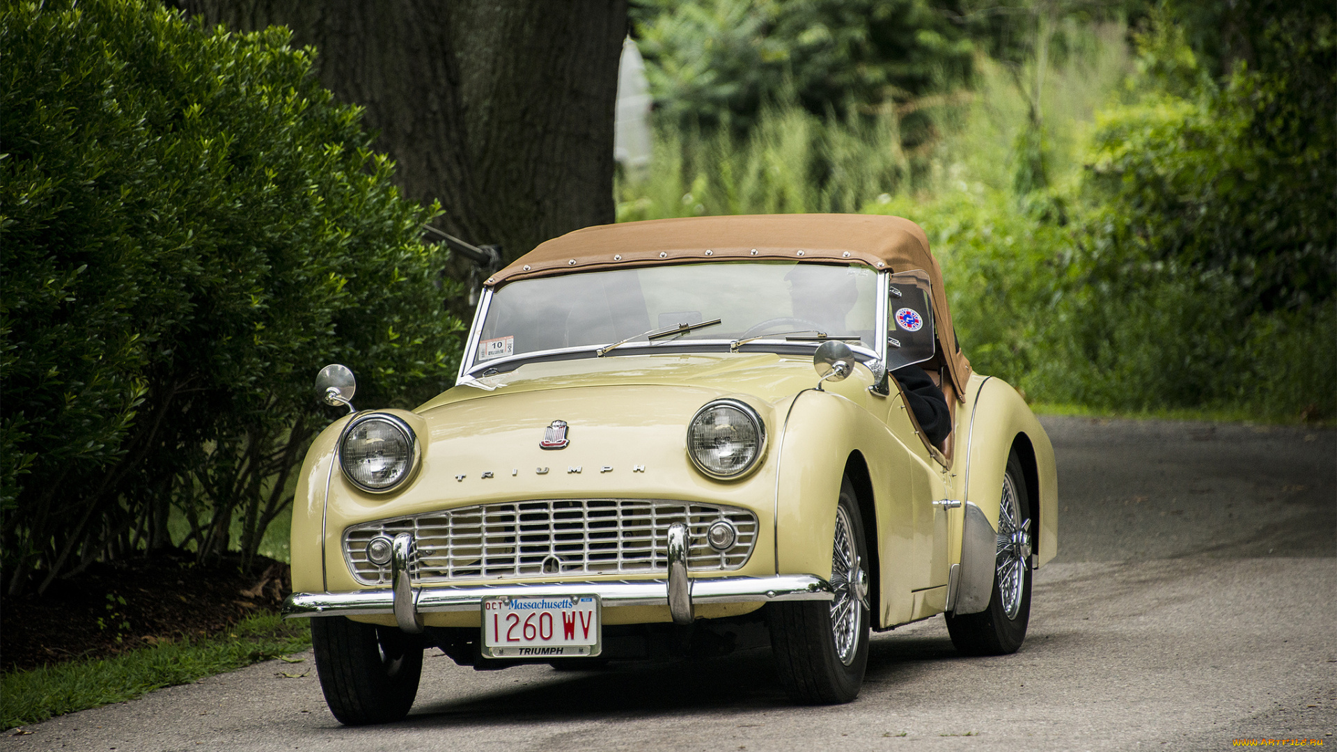 triumph, tr3, автомобили, triumph, автопробег, выставка, автошоу