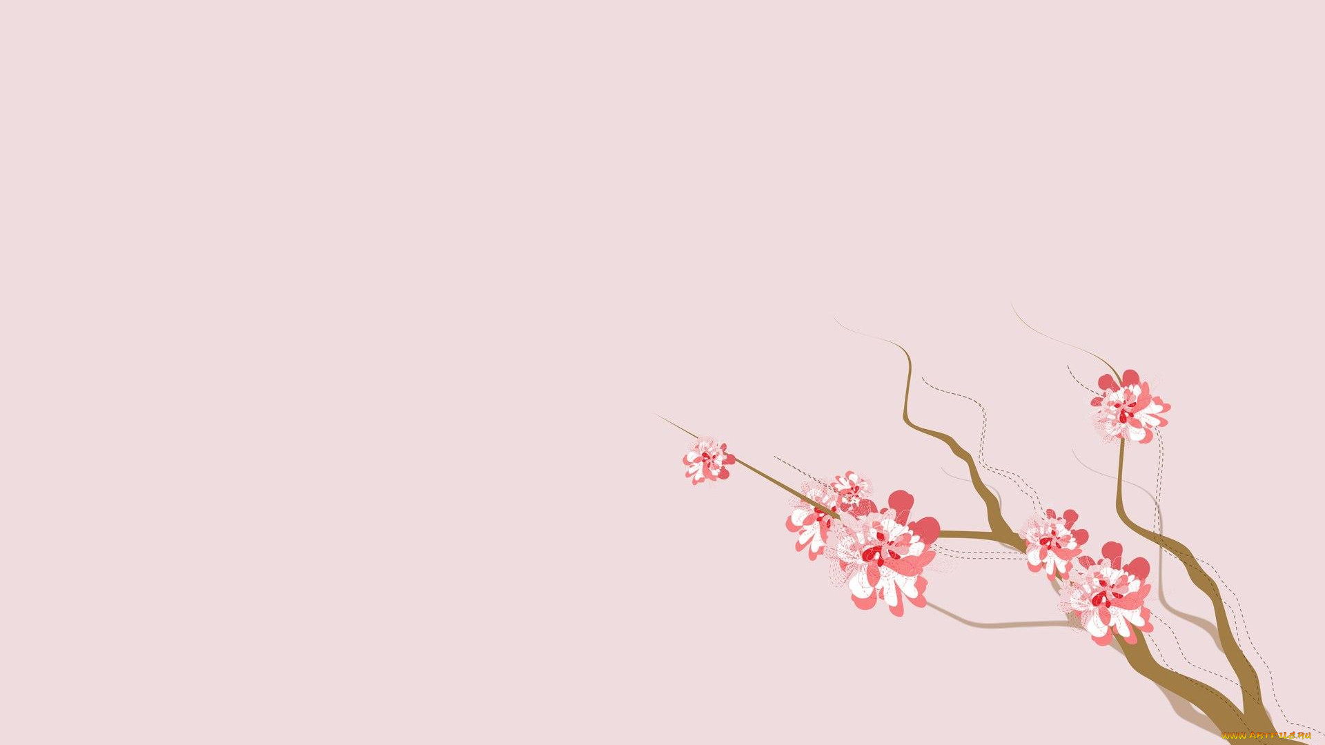 векторная, графика, цветы