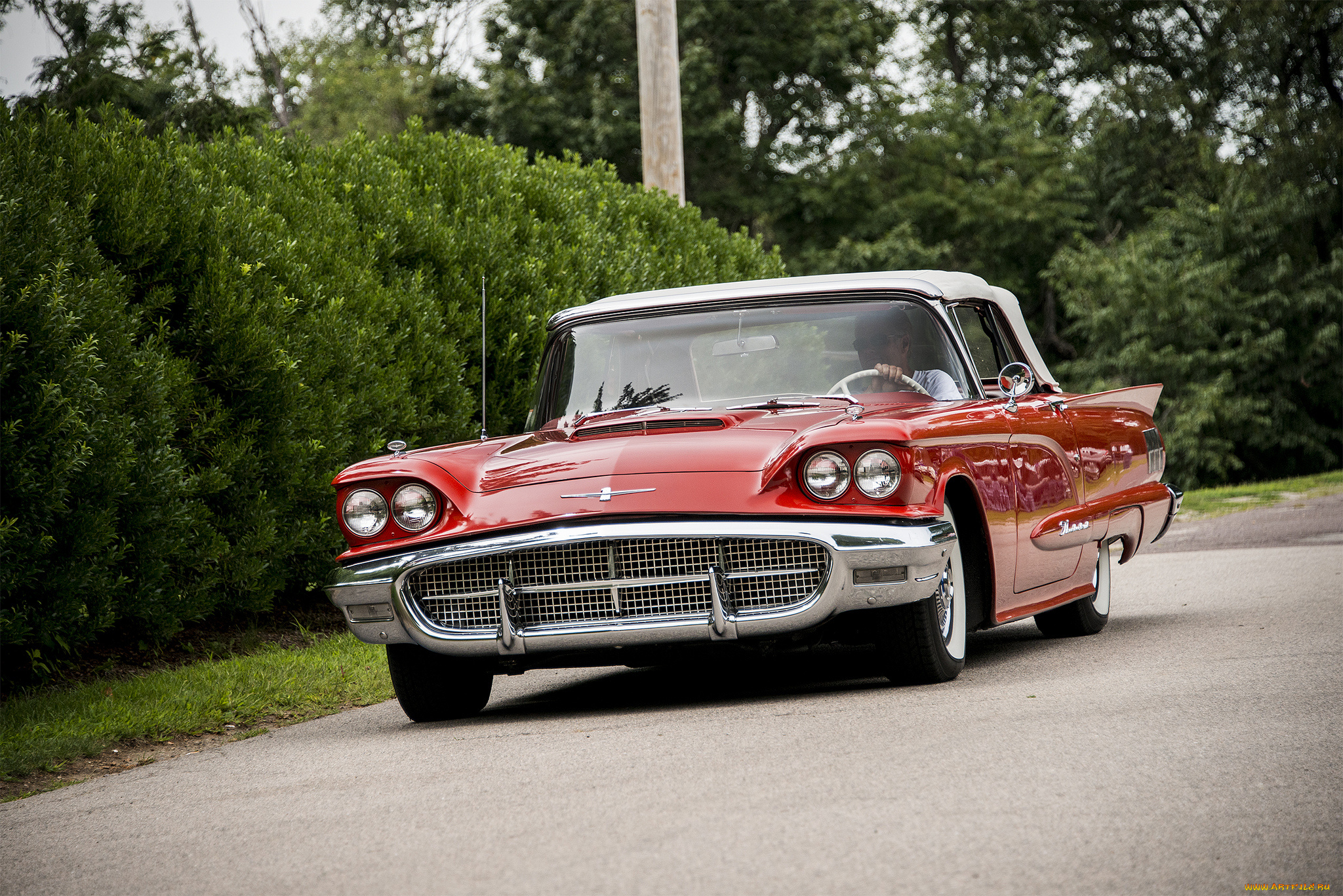 ford, thunderbird, автомобили, ford, выставка, автошоу, автопробег