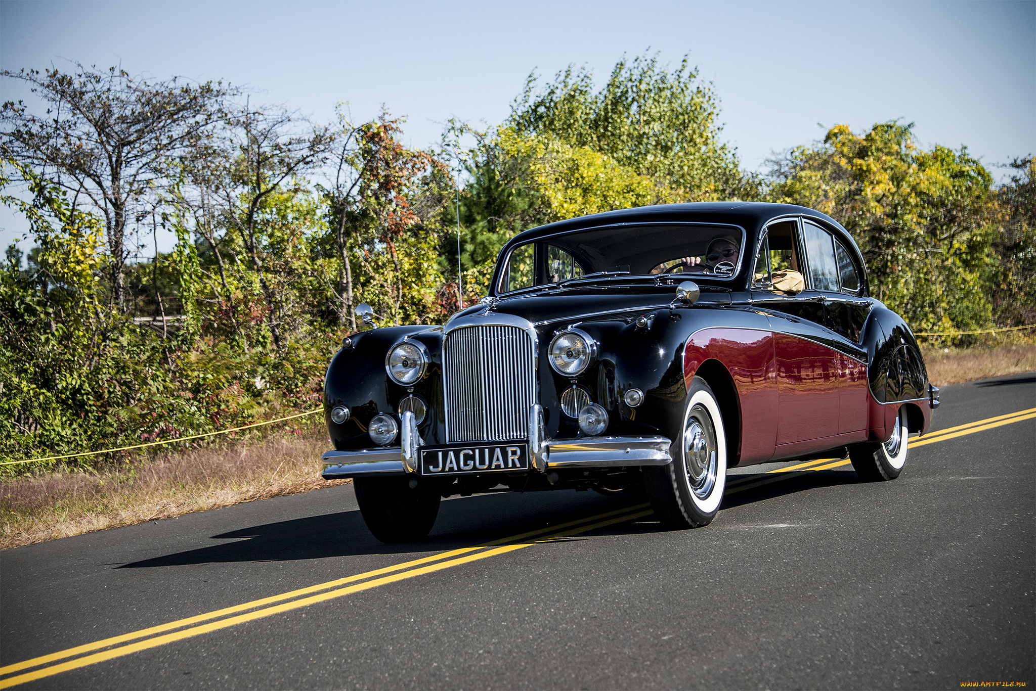 jaguar, автомобили, автопробег, выставка, автошоу