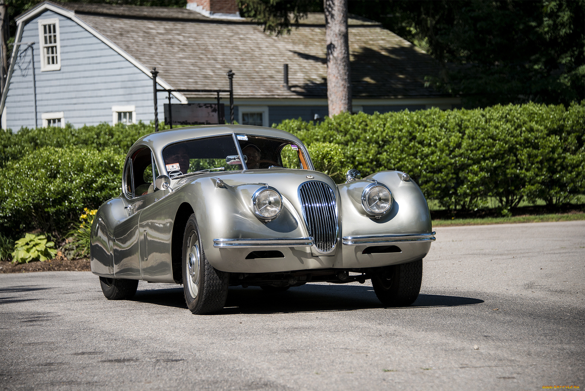 jaguar, автомобили, автошоу, автопробег, выставка