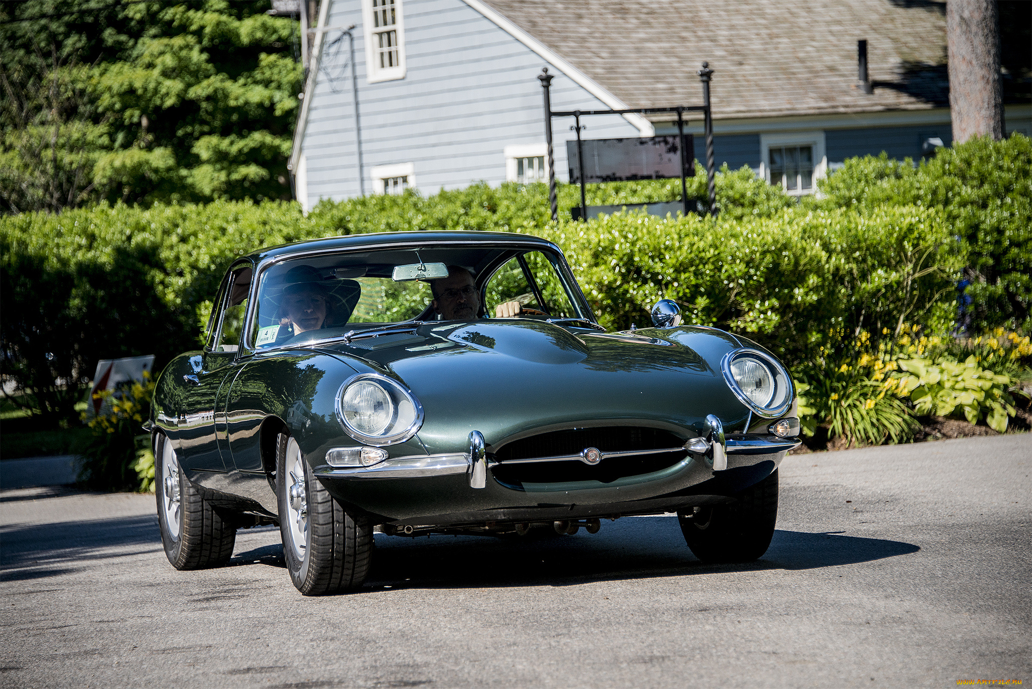 jaguar, xke, автомобили, jaguar, автопробег, выставка, автошоу