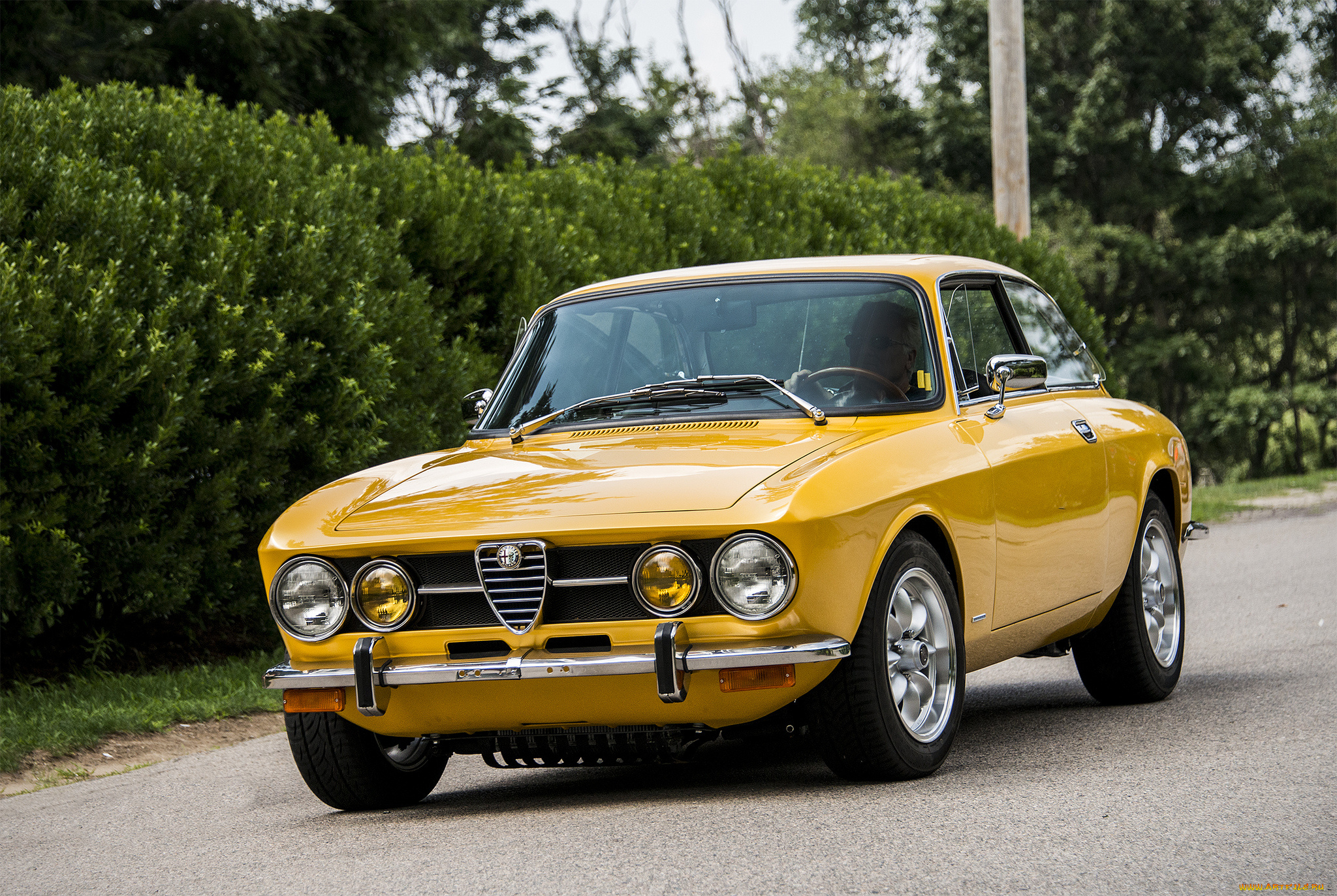 alfa, romeo, giulia, автомобили, alfa, romeo, автопробег, выставка, автошоу
