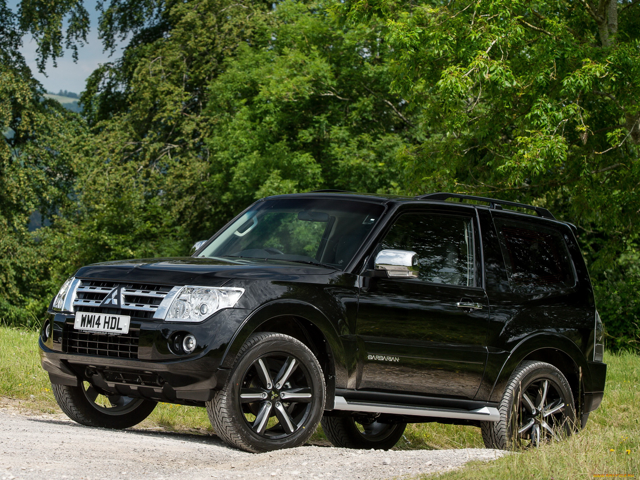автомобили, mitsubishi, темный, 2014г, barbarian, shogun, swb
