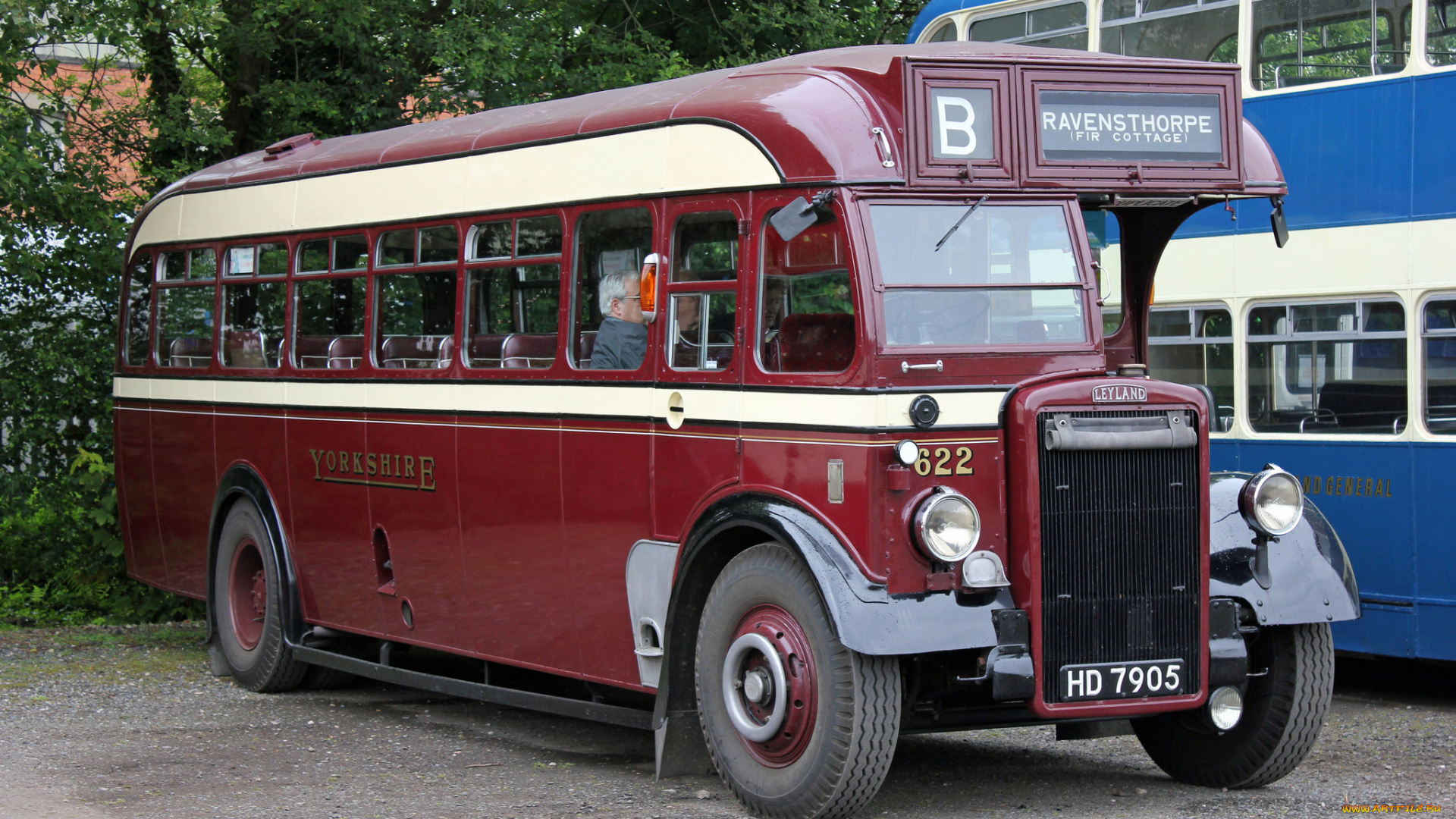 автомобили, автобусы, транспорт, пассажирский